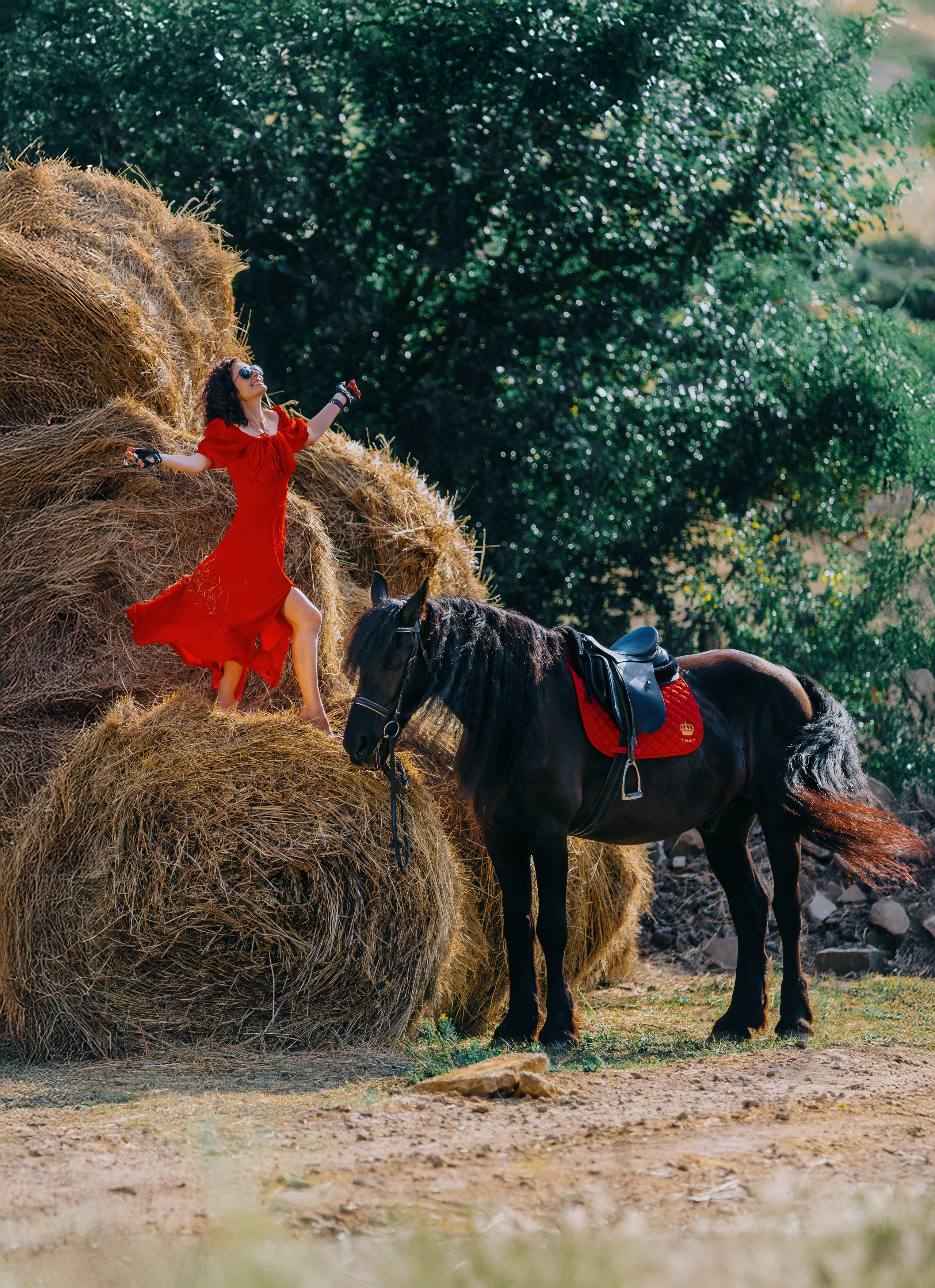 Наира и Тимоти. Фотограф-анималист Ксендзова Кристина