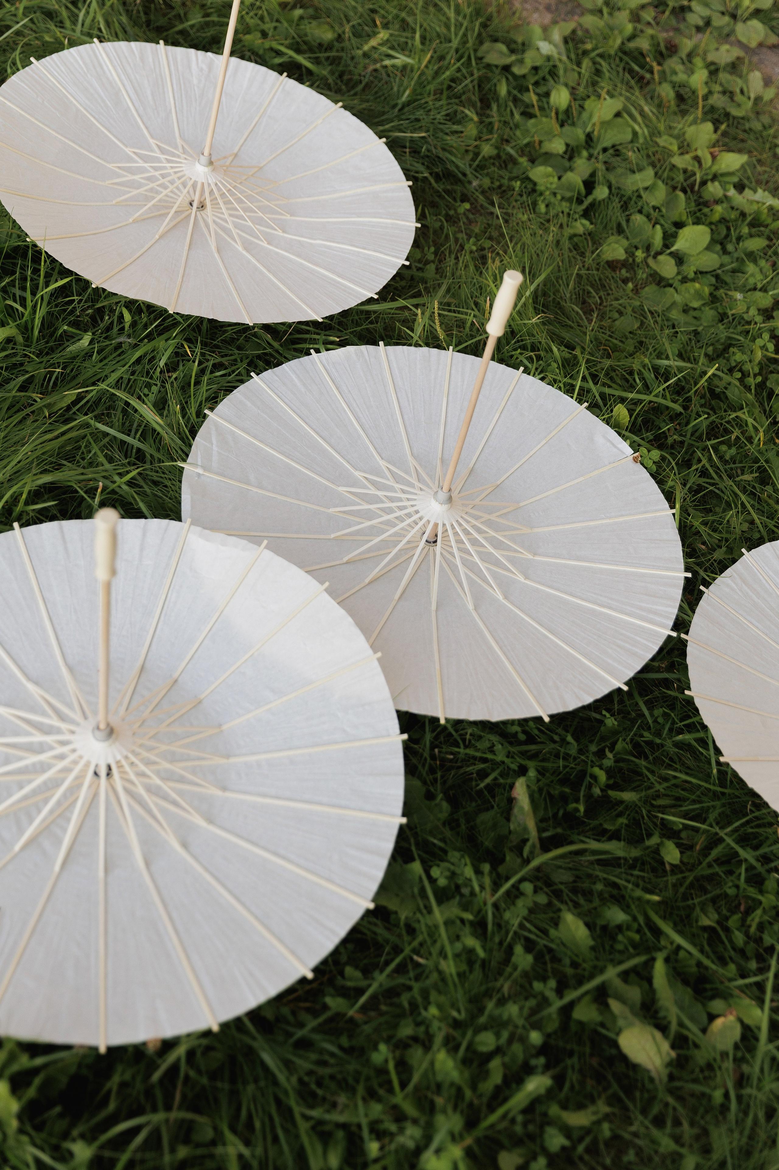 Данил и Алина. Фотограф Андреева Алёна