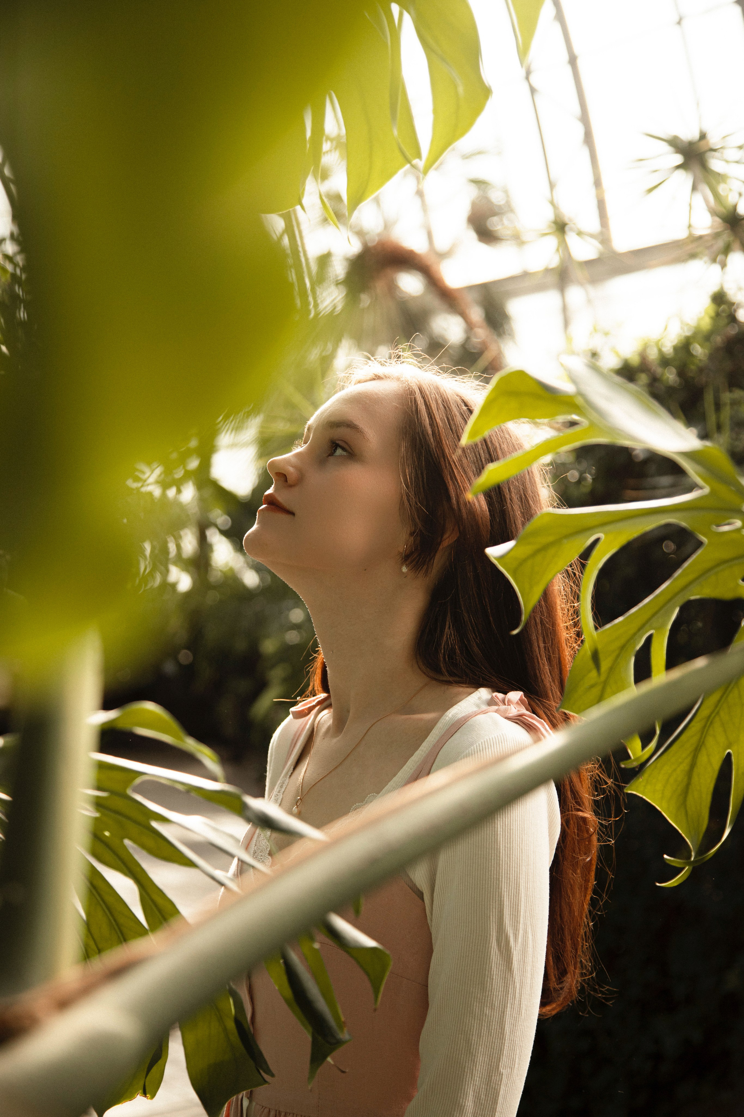 Оранжерея Таврического сада