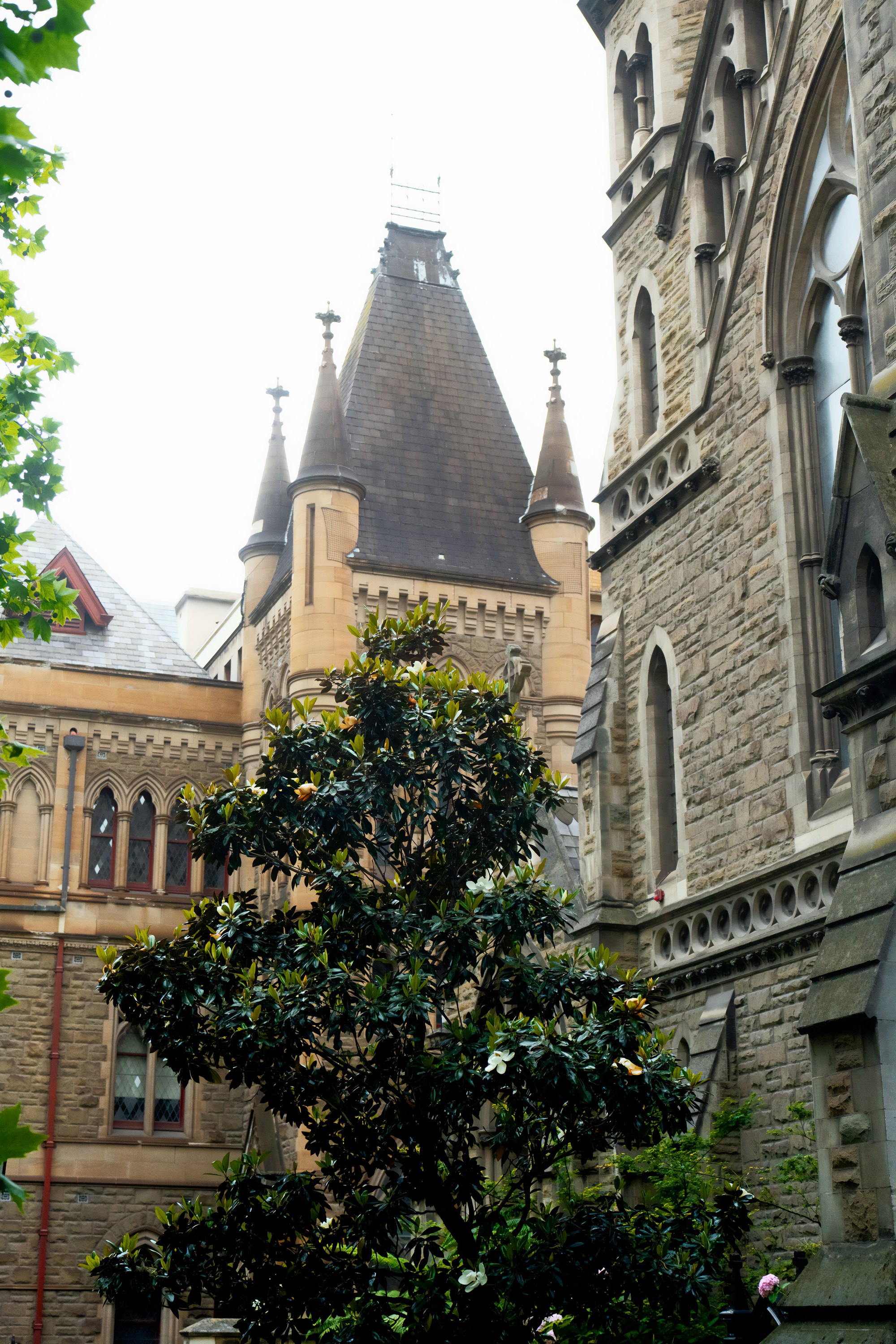 Австралия. Фотограф в Хабаровске. Фотография за 24 часа