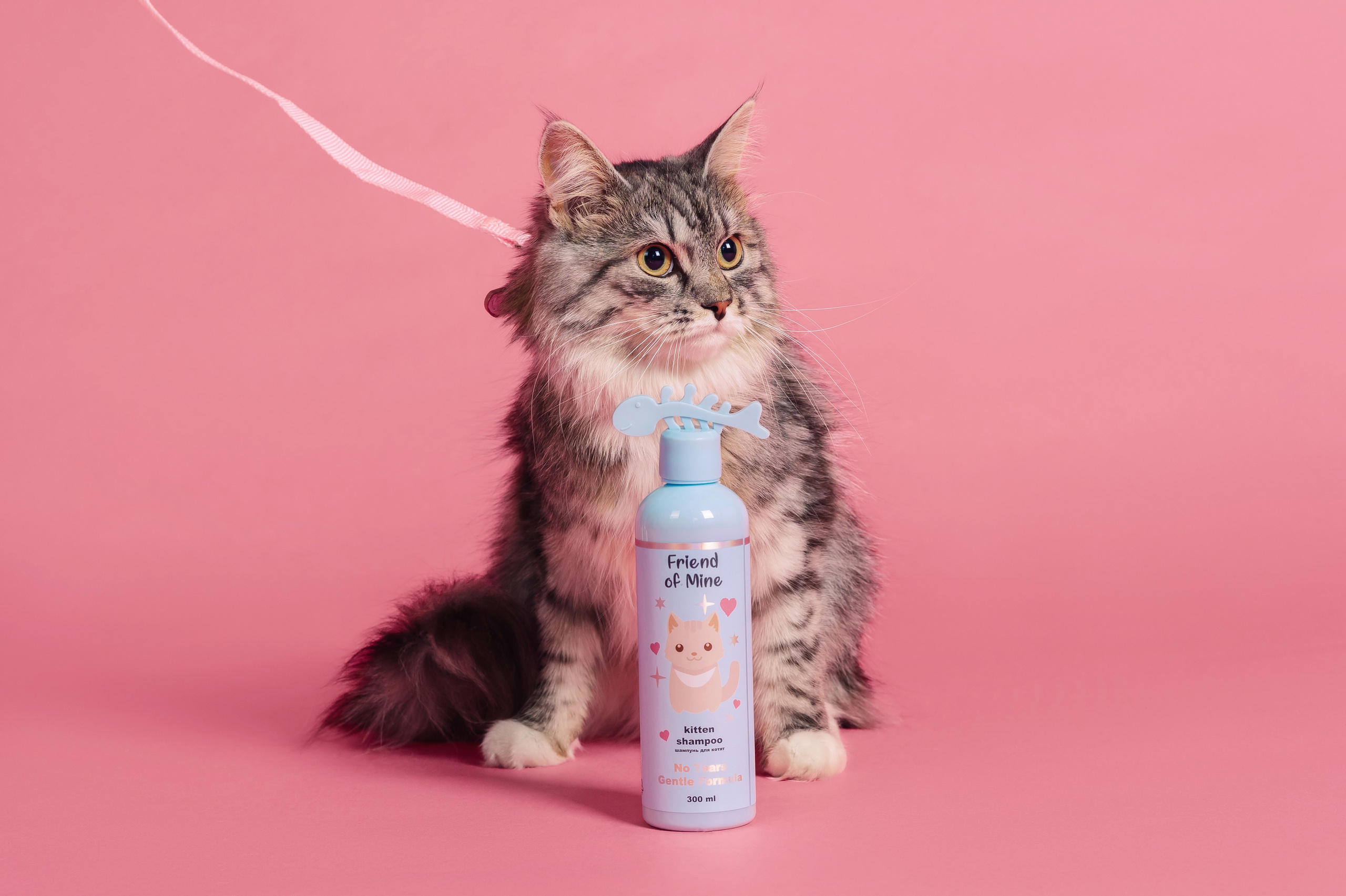 Магазин Friend of mine. Фотограф-анималист Елена Радченко, Москва