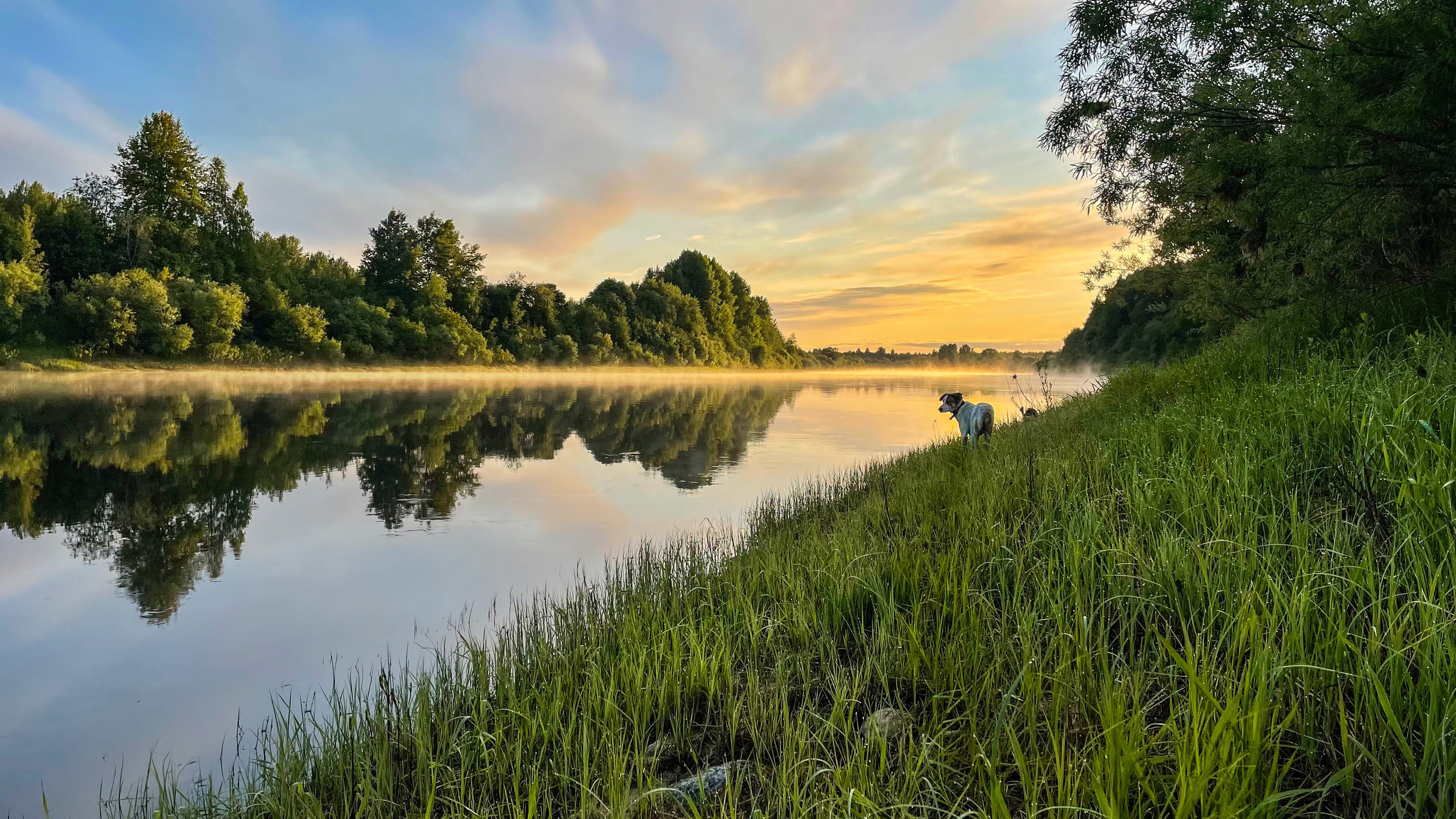 Фотограф Александр Карпинец
