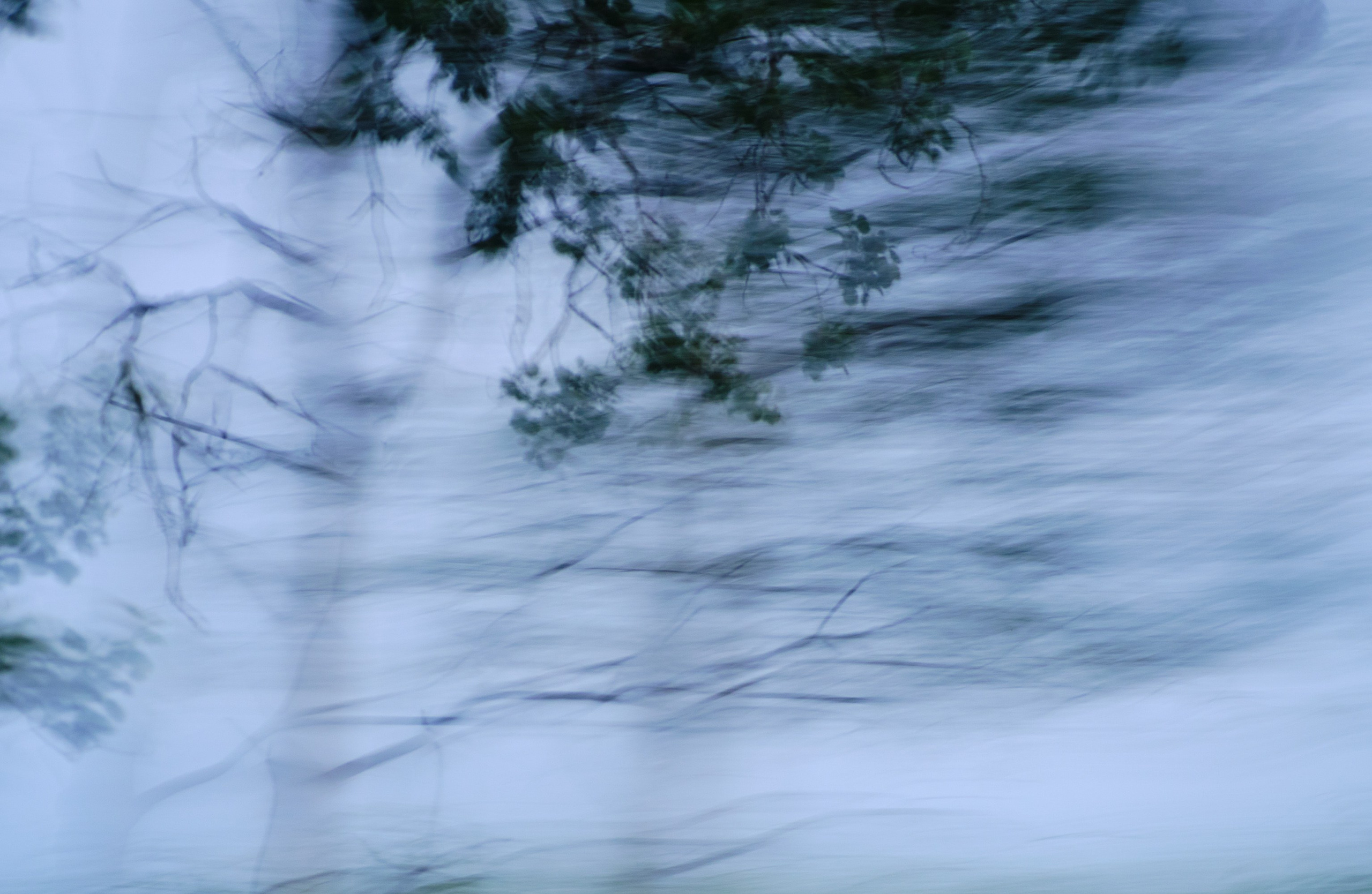 Фотограф Юлия Глазкова