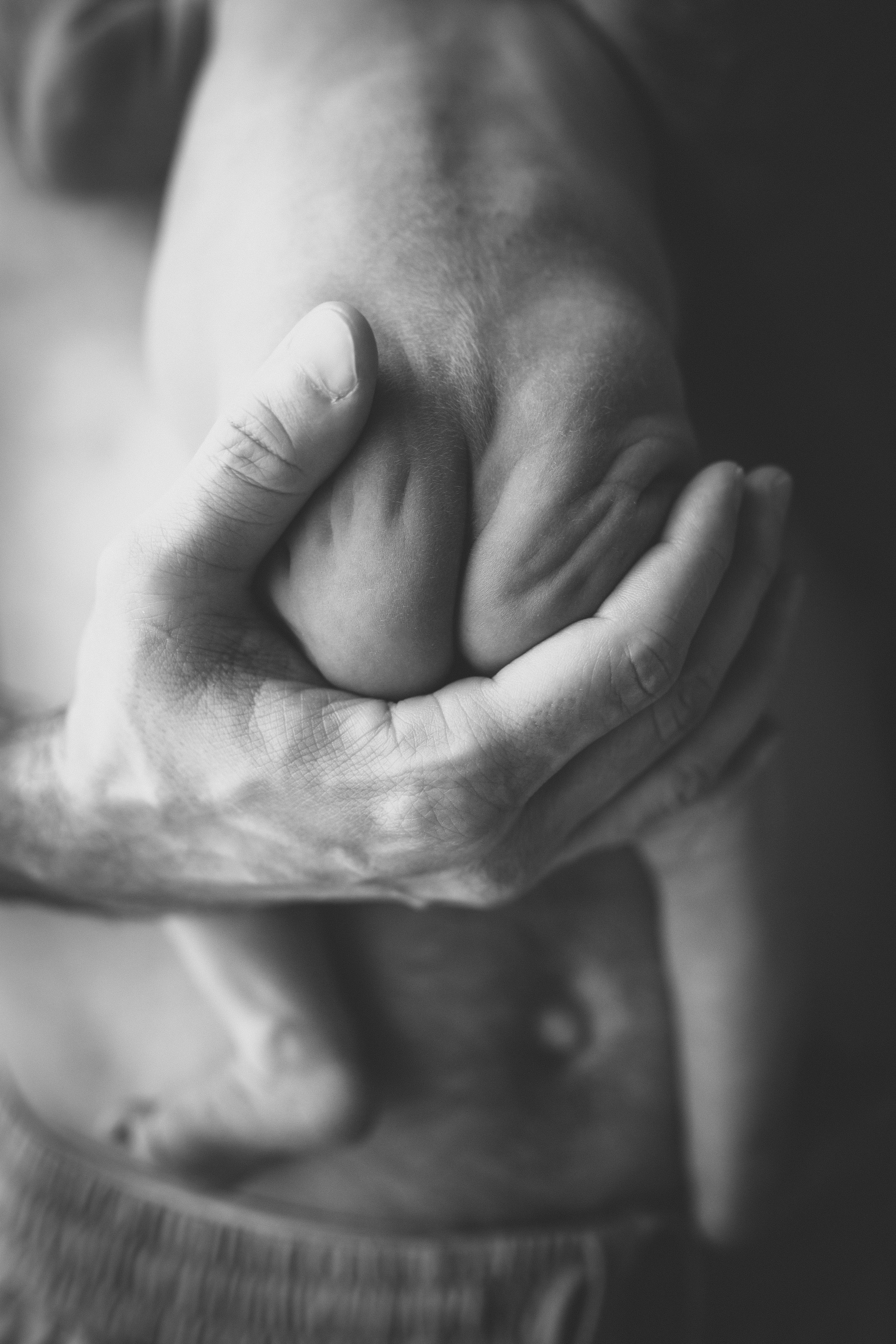 Вика, Леша и Алиса. Семейный фотограф и фотограф на роды в Ростове-на-Дону Мухина Виктория