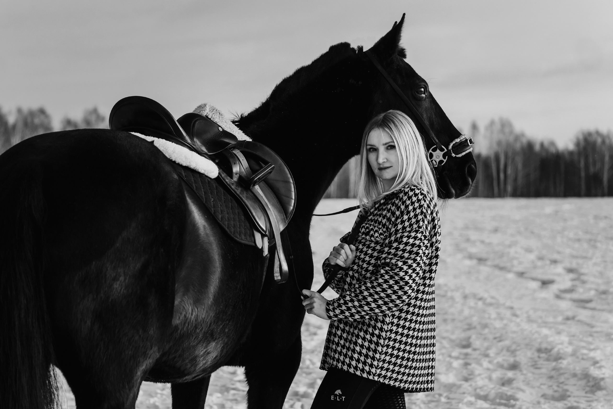 Life with horse. Saamill