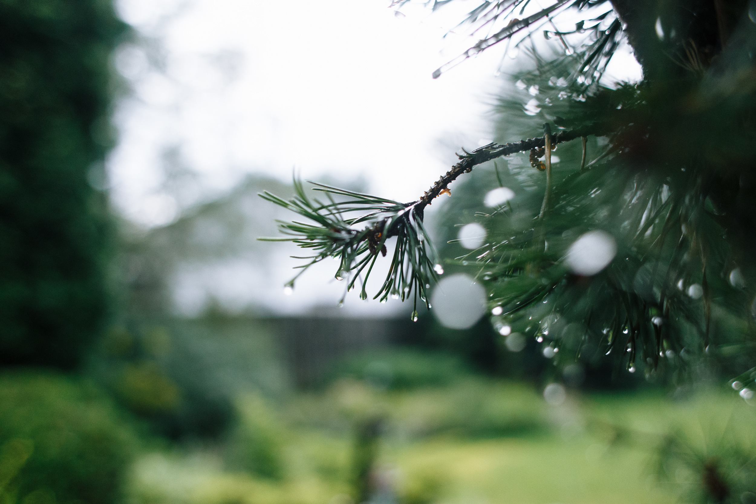 Дима и Лиза. Фотограф Фототерапевт Минск