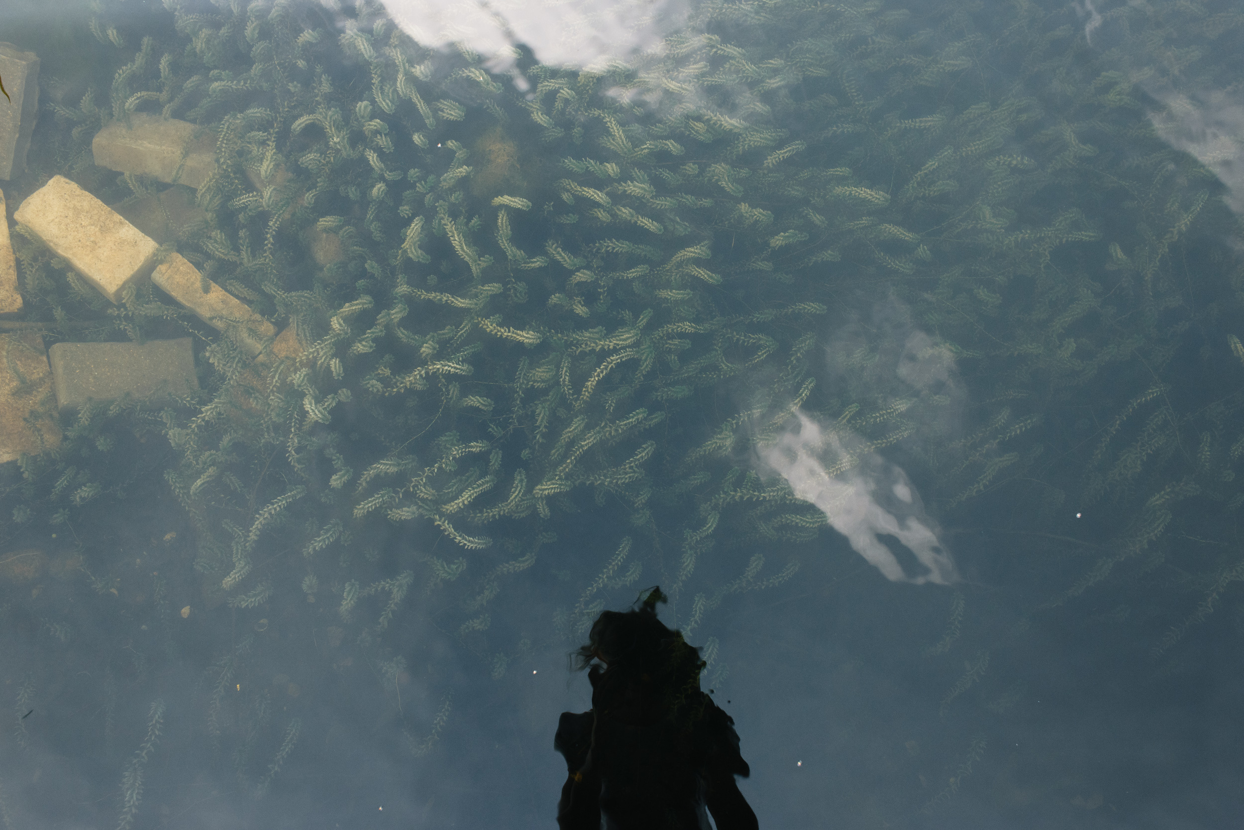 Дима и Лиза. Фотограф Фототерапевт Минск