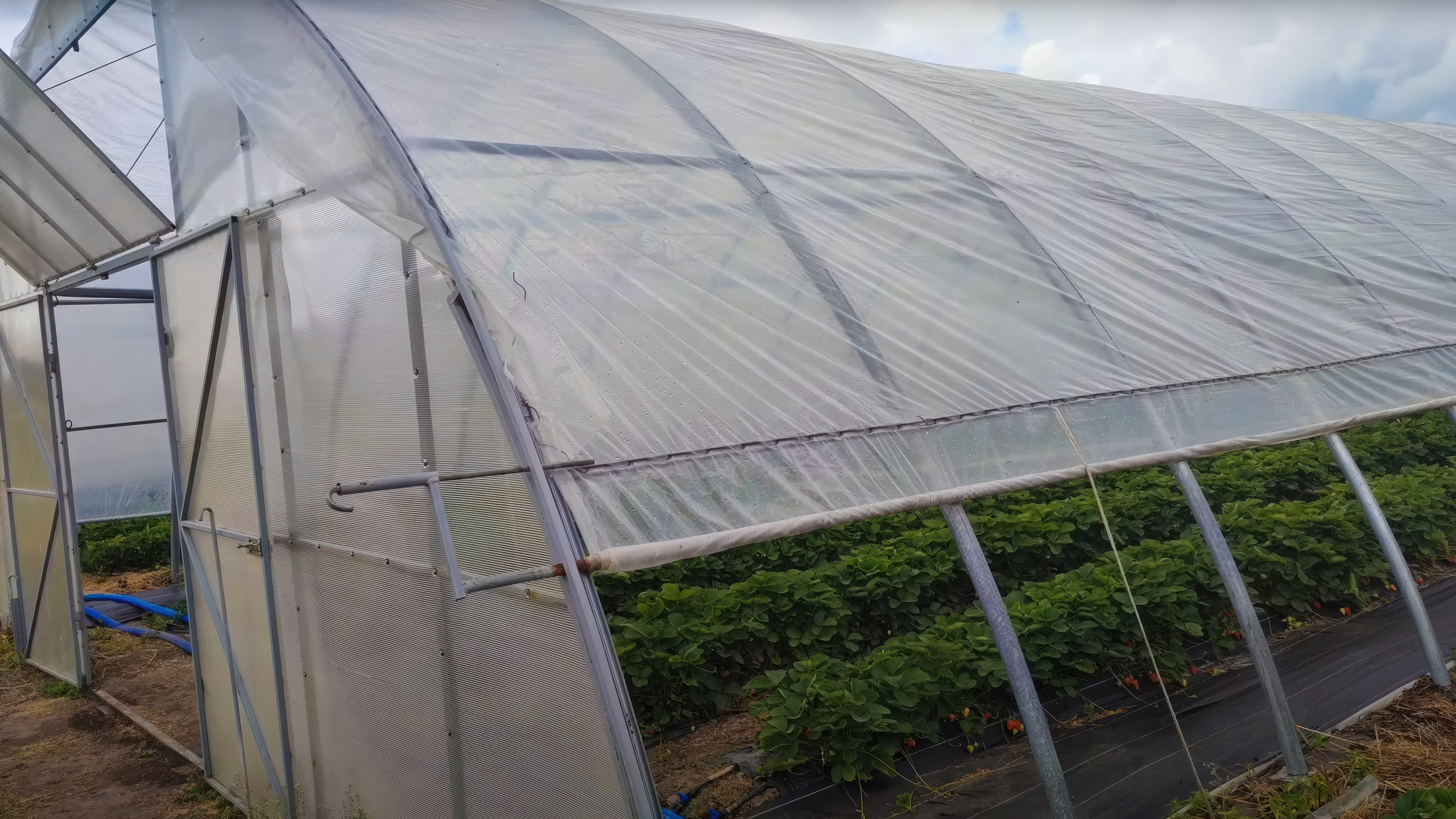 БИОЭНЕРГИЯ — Производство субстрата для теплиц, маты для выращивания