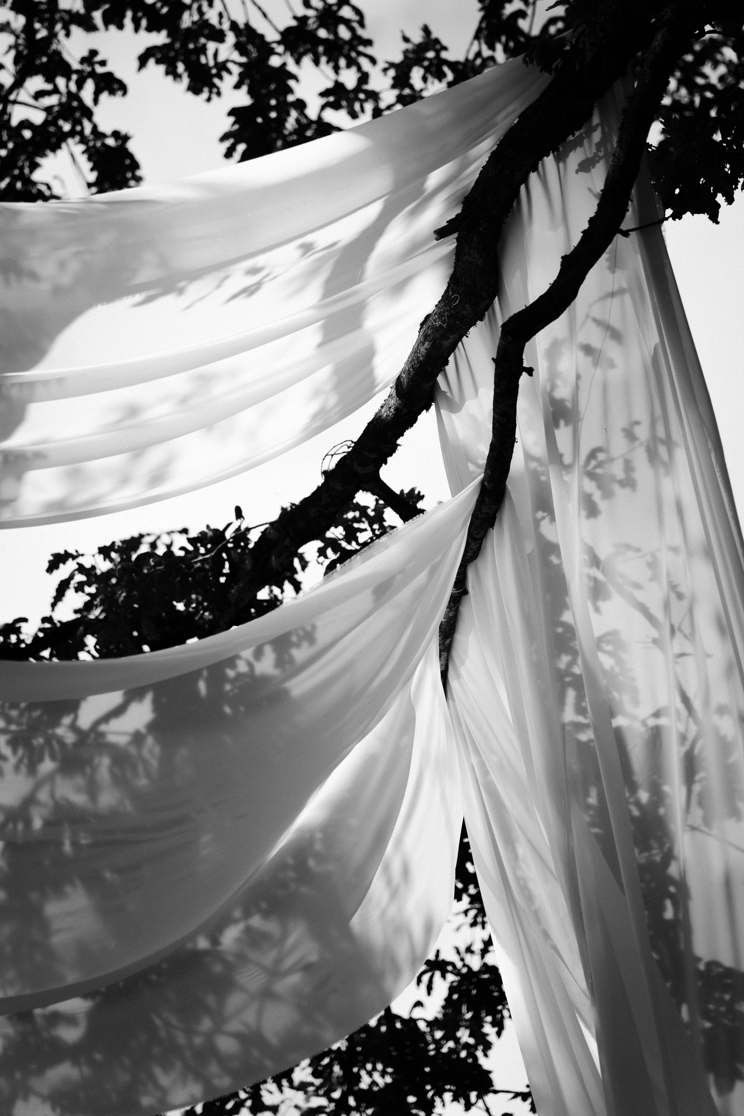 P&V. Свадебный фотограф Лиза Макатович Беларусь Минск