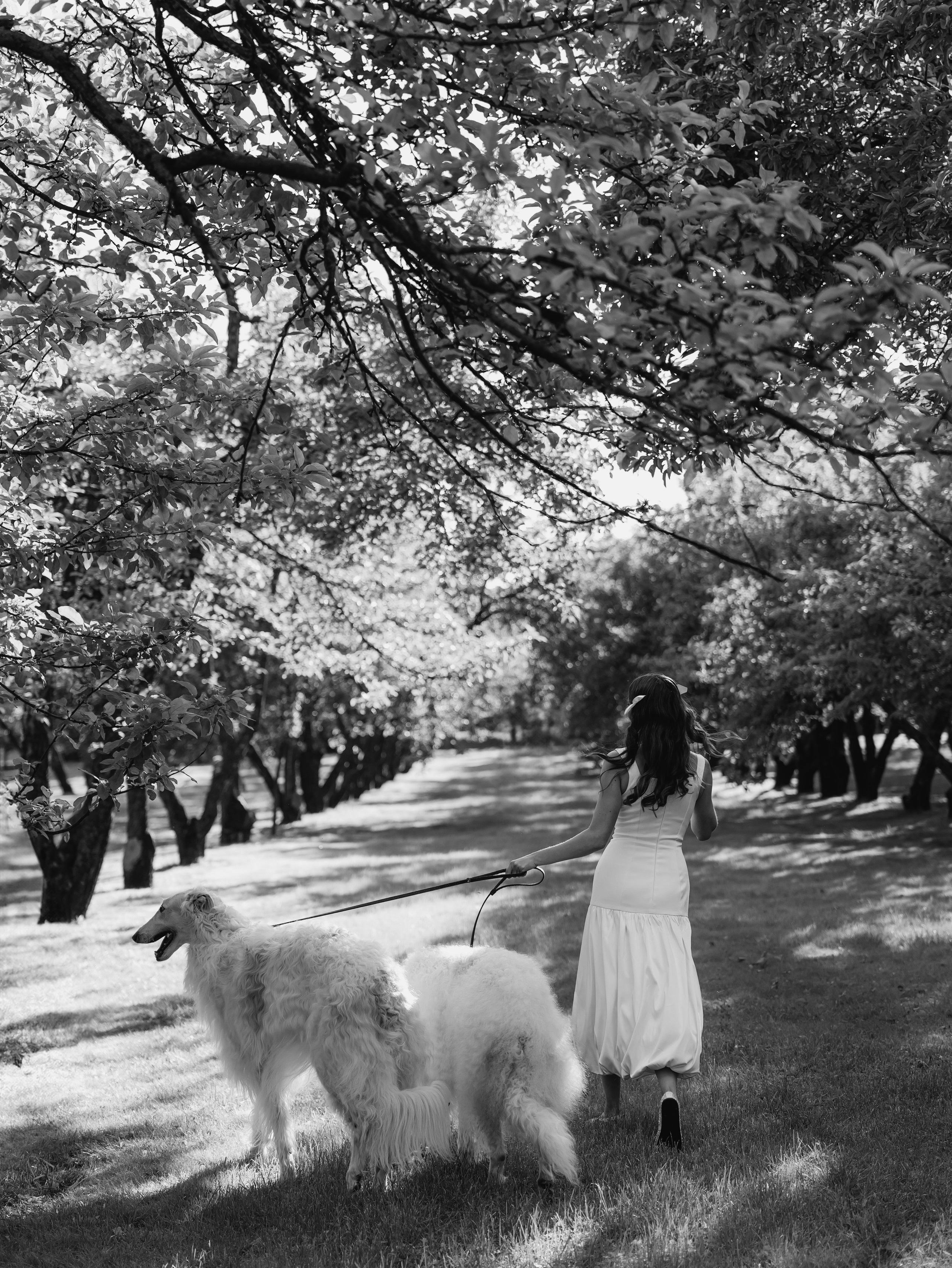 Одним летним вечером