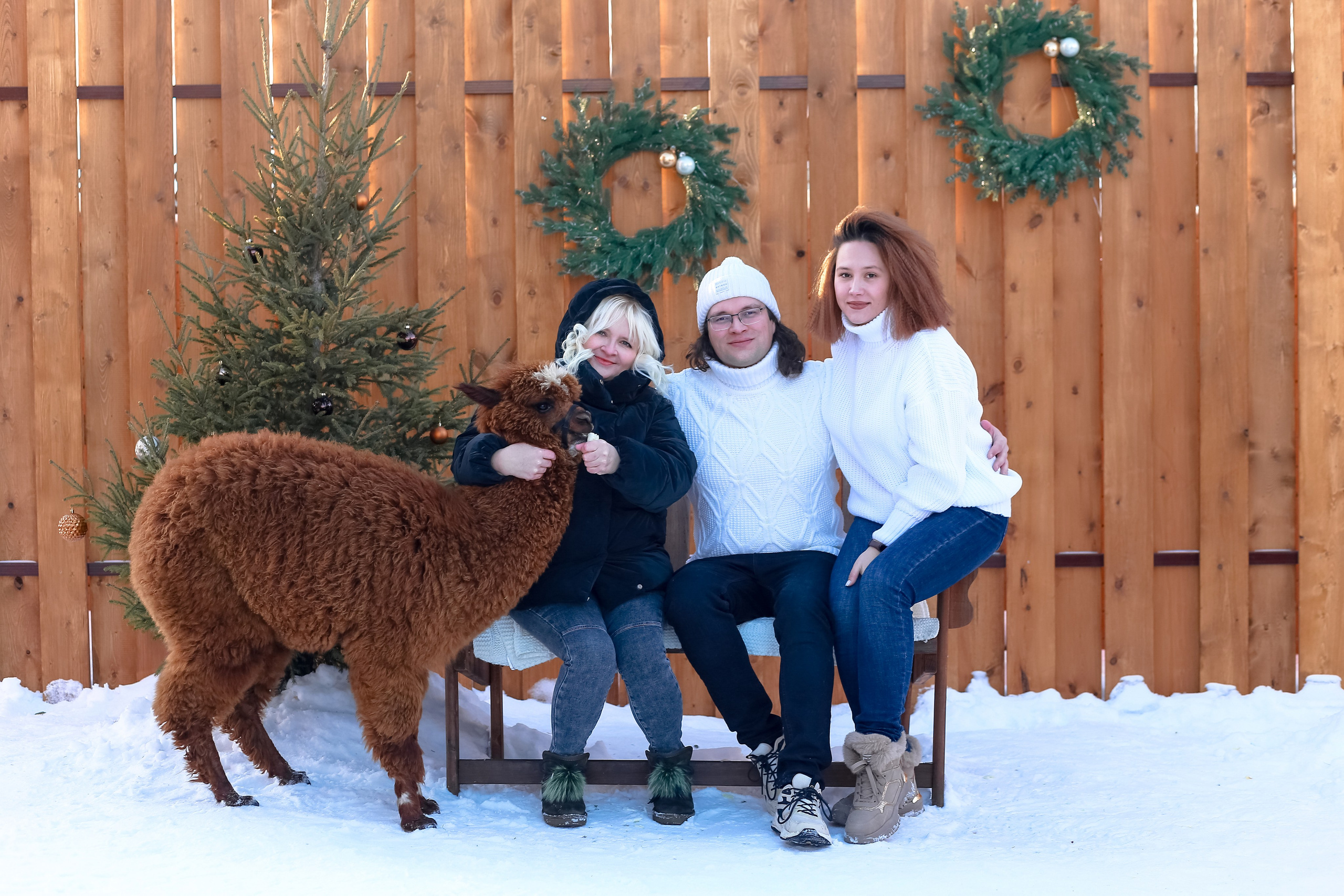Семейная съемка с Альпакой!. Иванова Ирина Свадебный и семейный фотограф г. Уфа