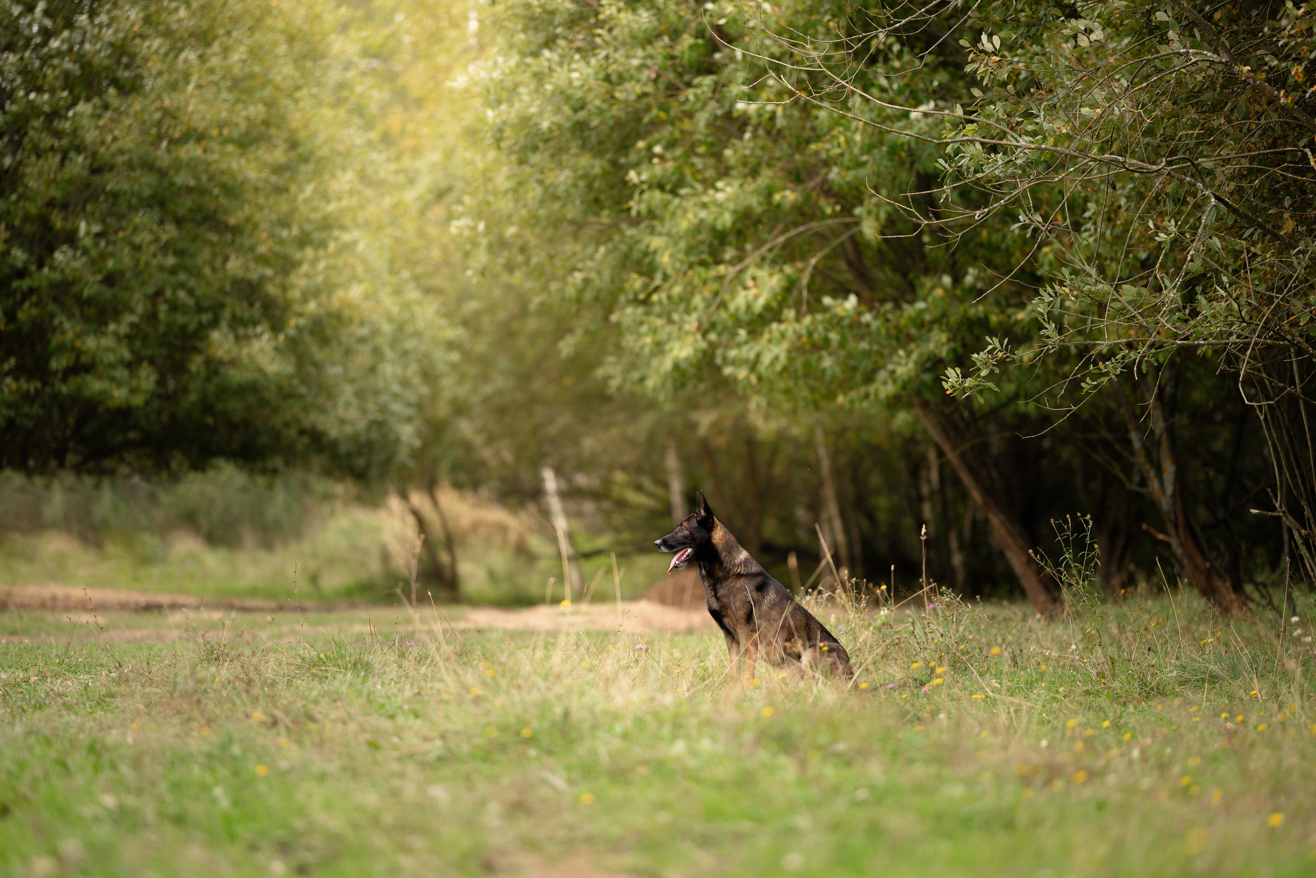 Макс. Фотограф и видеограф анималист Аганина Дарья