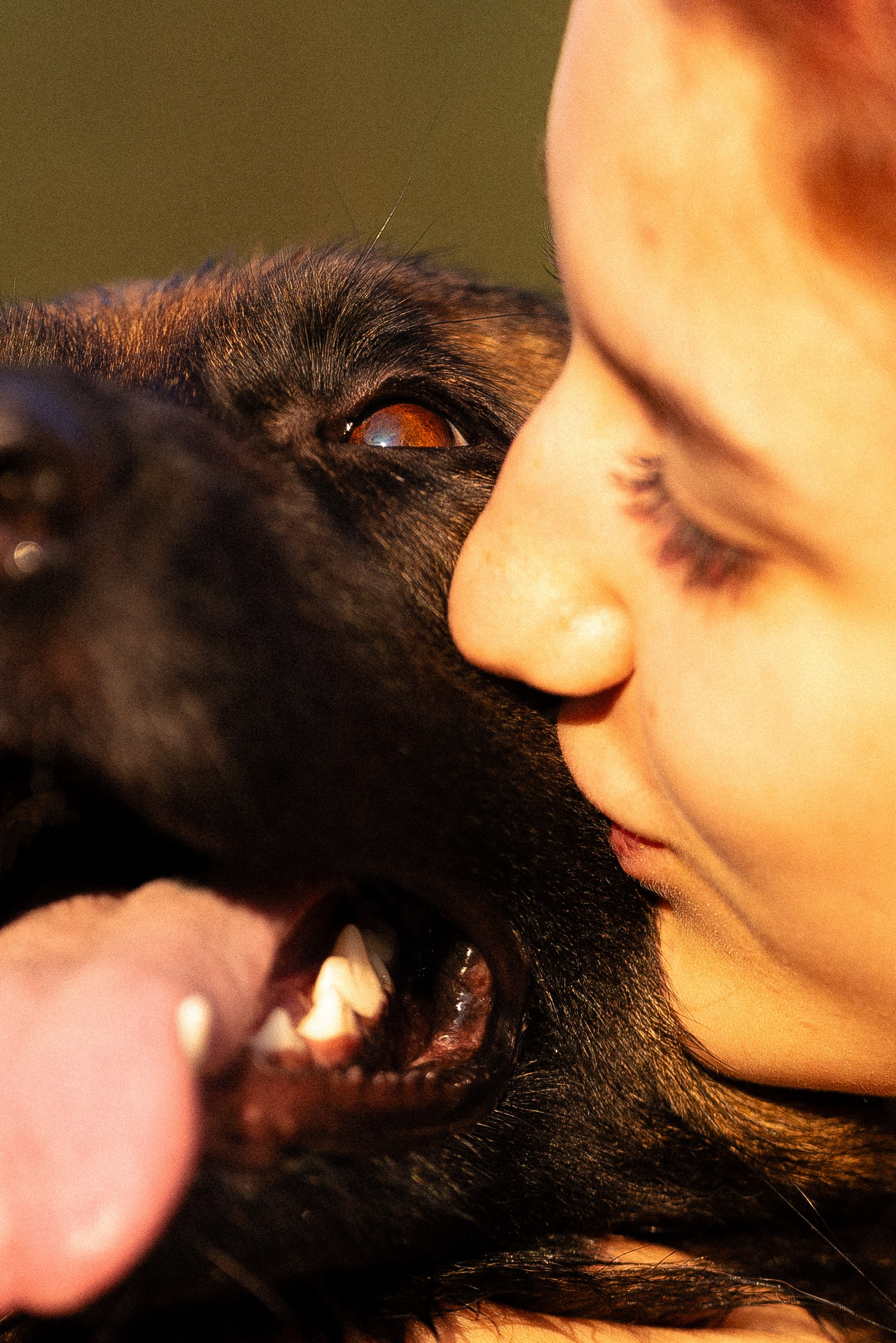 Алена, Матвей, Фанни и Фрея. Фотограф и видеограф анималист Аганина Дарья