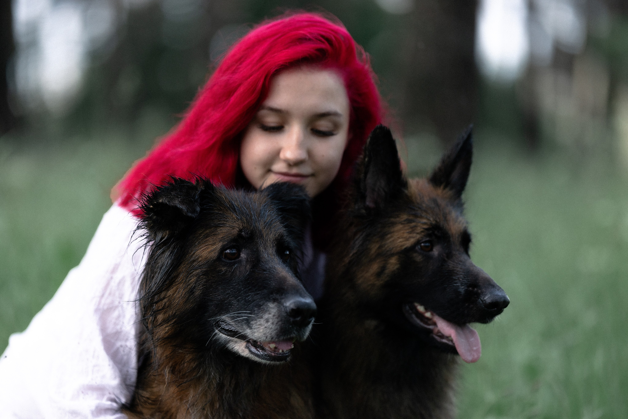 Алена, Фанни и Фрея. Фотограф и видеограф анималист Аганина Дарья