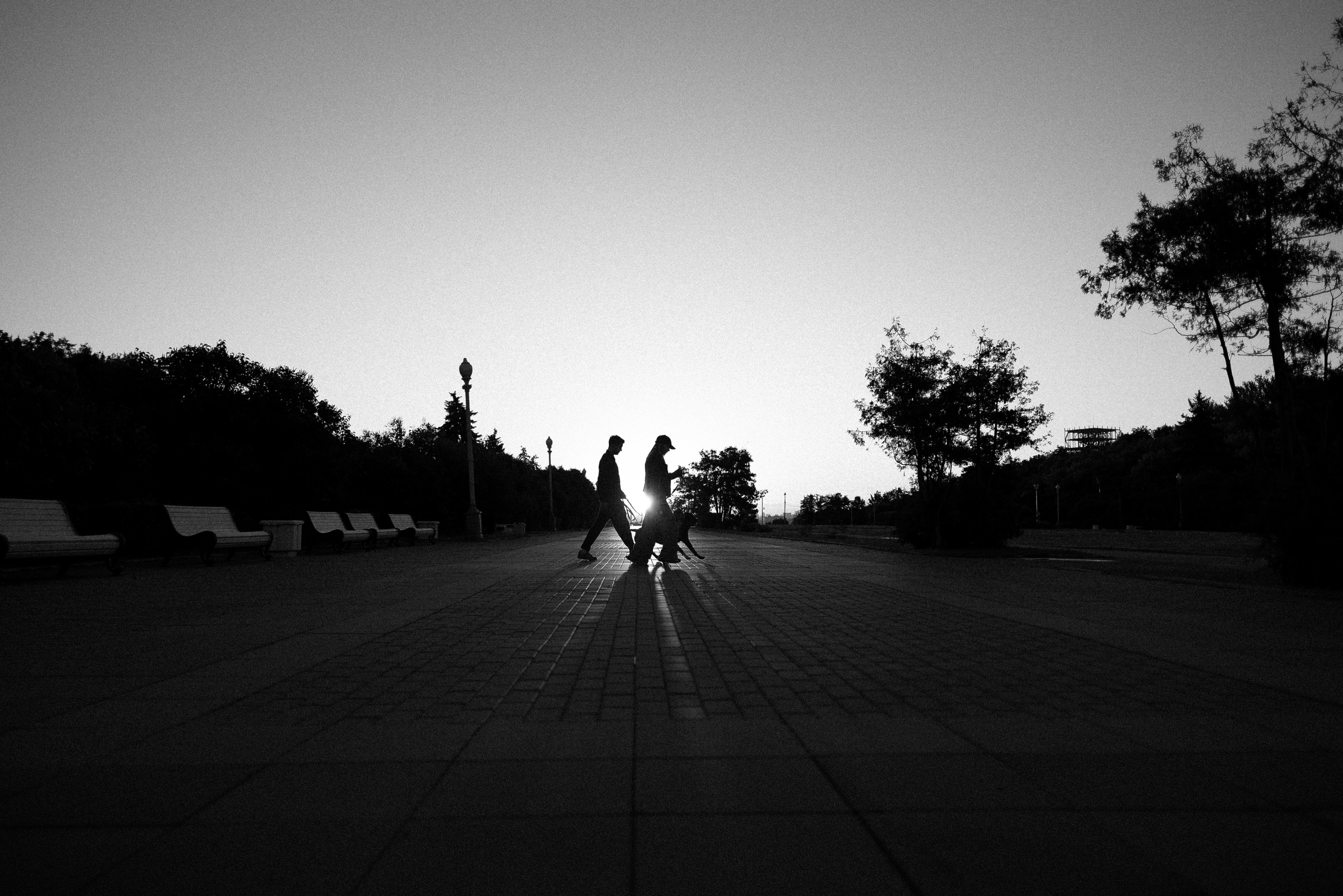 Катя, Леша, Лея и Трой. Фотограф и видеограф анималист Аганина Дарья