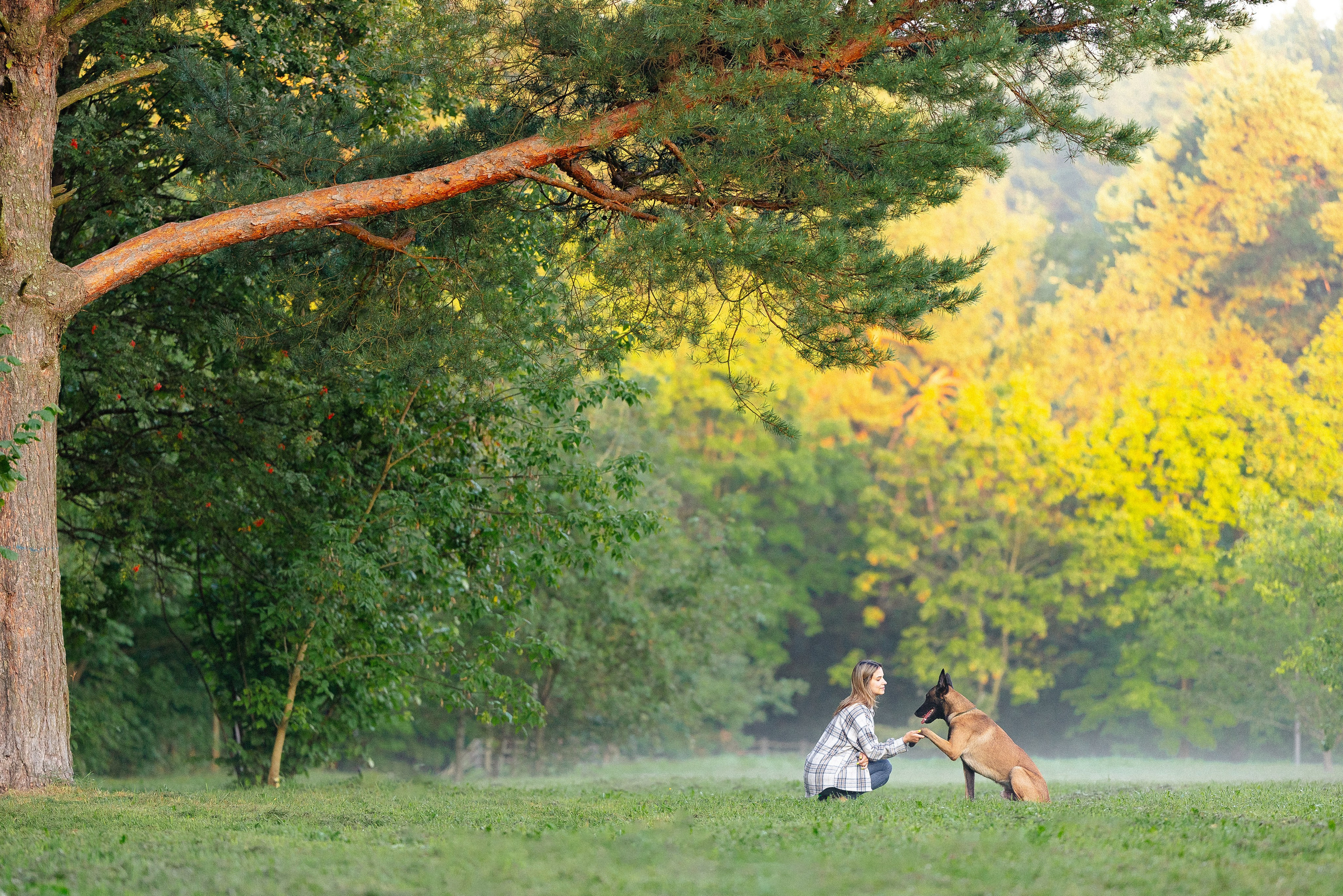 Галина и Кодекс. Фотограф и видеограф анималист Аганина Дарья