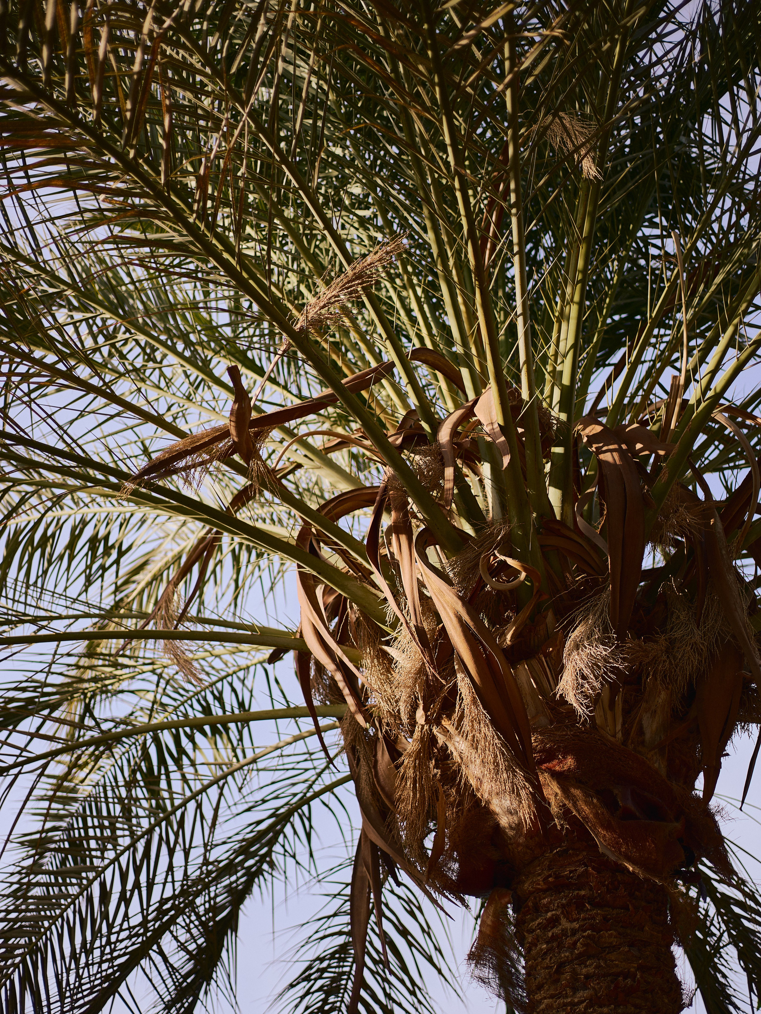 Другое 2. Jorgis Talè — photographer, kind person, teacher of arts and other mag