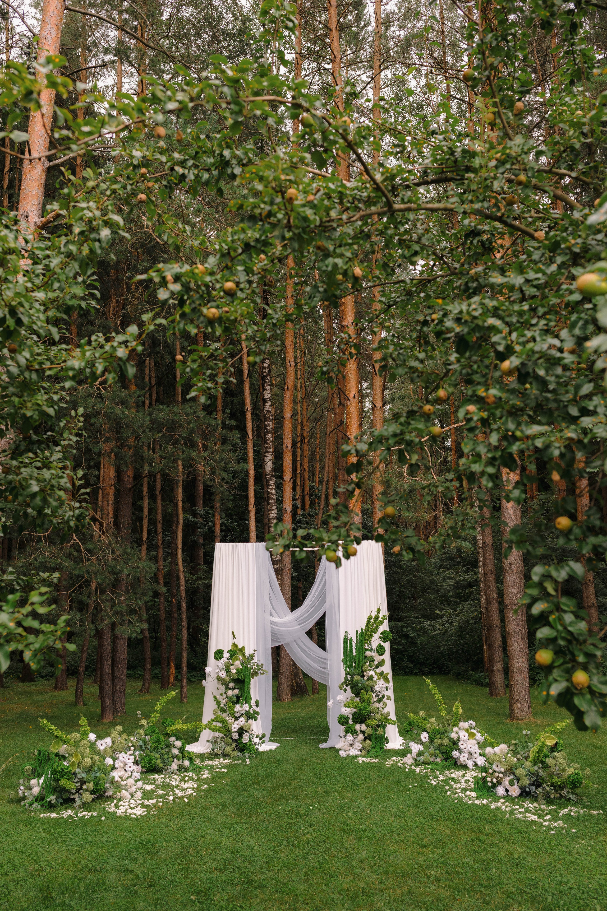 Зеленый сад