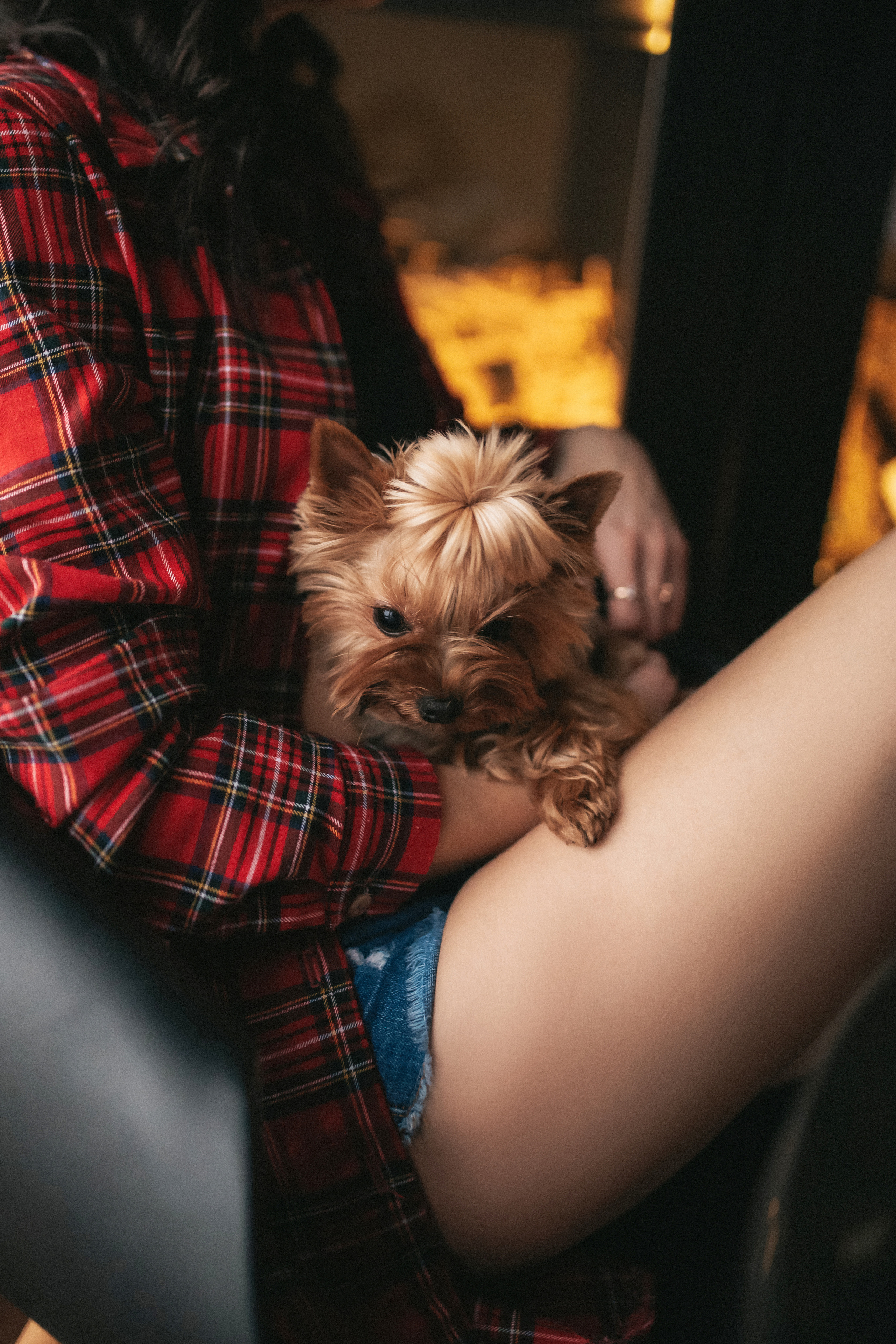 Лена, Дима и Бонни. Фотограф в Минске — Юлия Деяк. Фотосессии в Минске