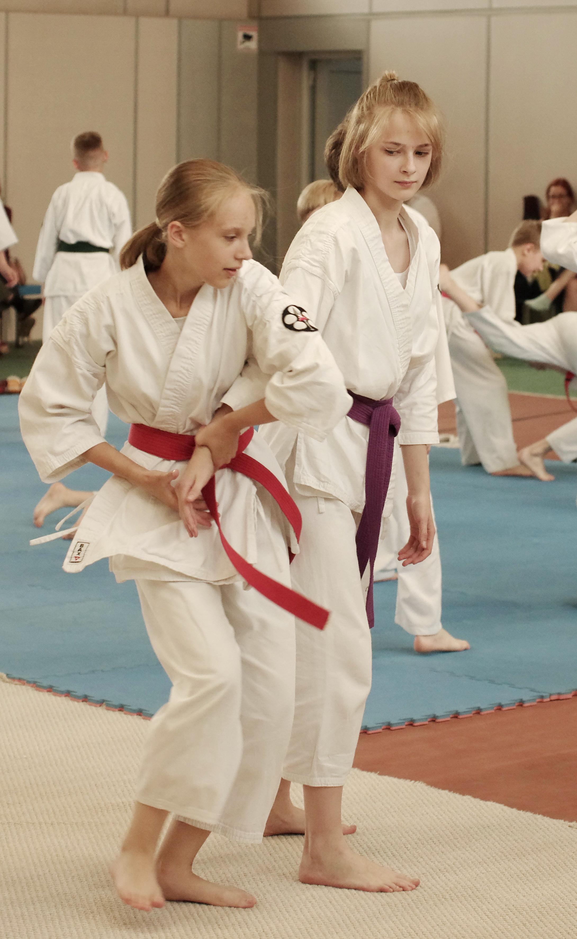 Аттестация айкидо. Семейный фотограф в Москве и Московской области Элла Слюсарь