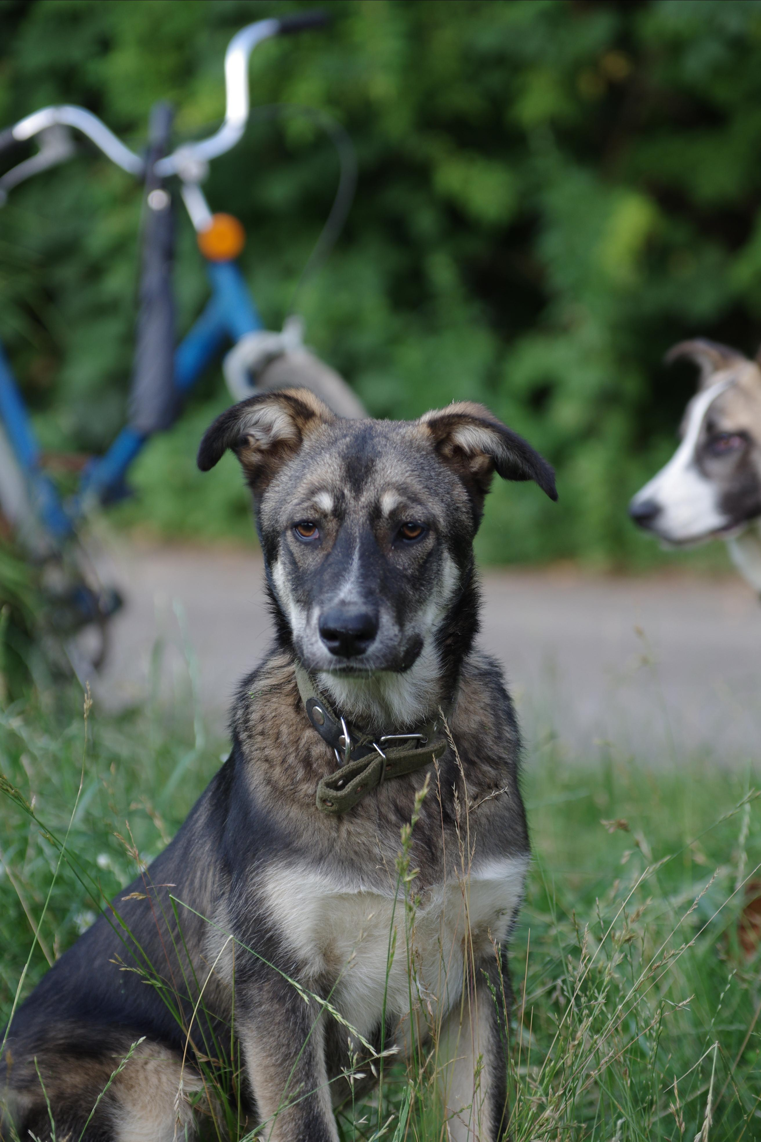 Им нужен дом. Семейный фотограф в Москве и Московской области Элла Слюсарь