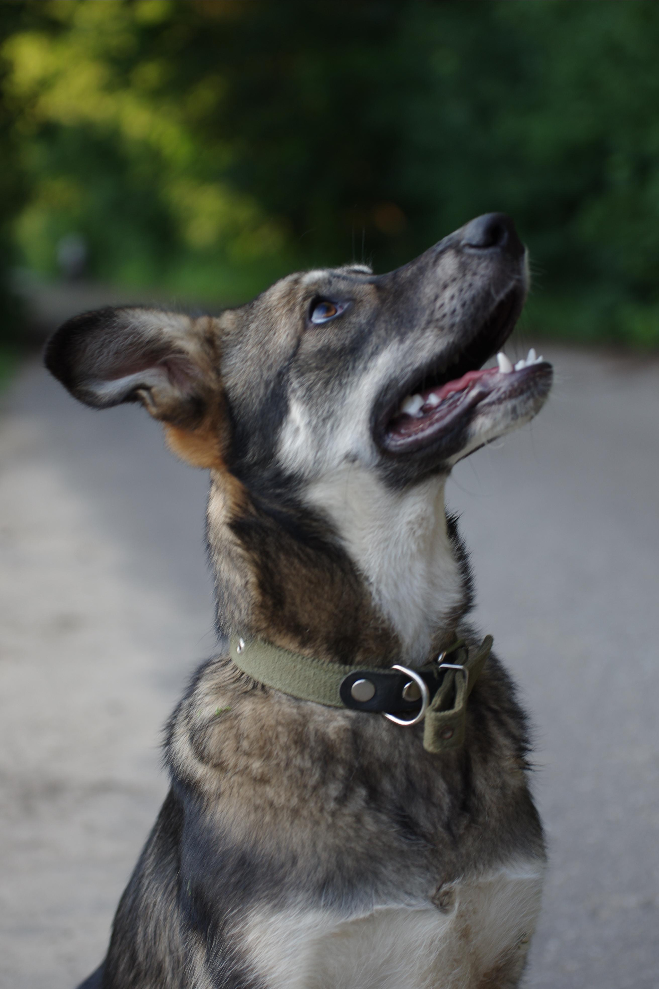 Им нужен дом. Семейный фотограф в Москве и Московской области Элла Слюсарь