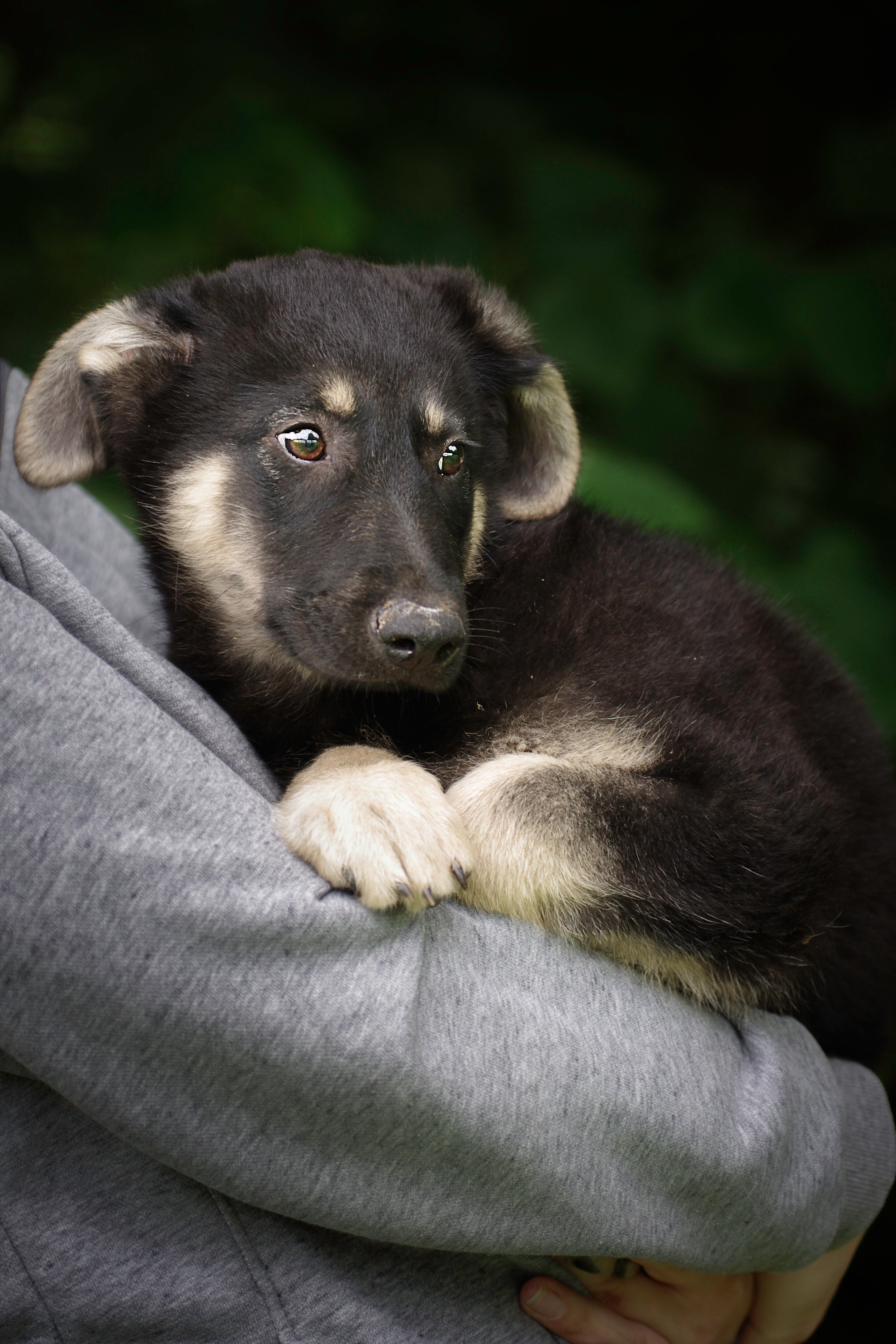 Им нужен дом. Семейный фотограф в Москве и Московской области Элла Слюсарь