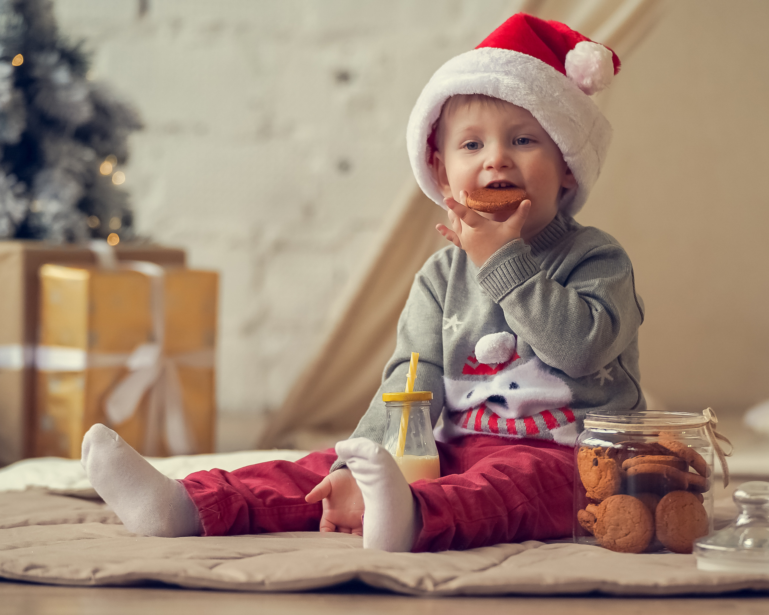 Новогоднее настроение. Семейный фотограф в Москве и Московской области Элла Слюсарь