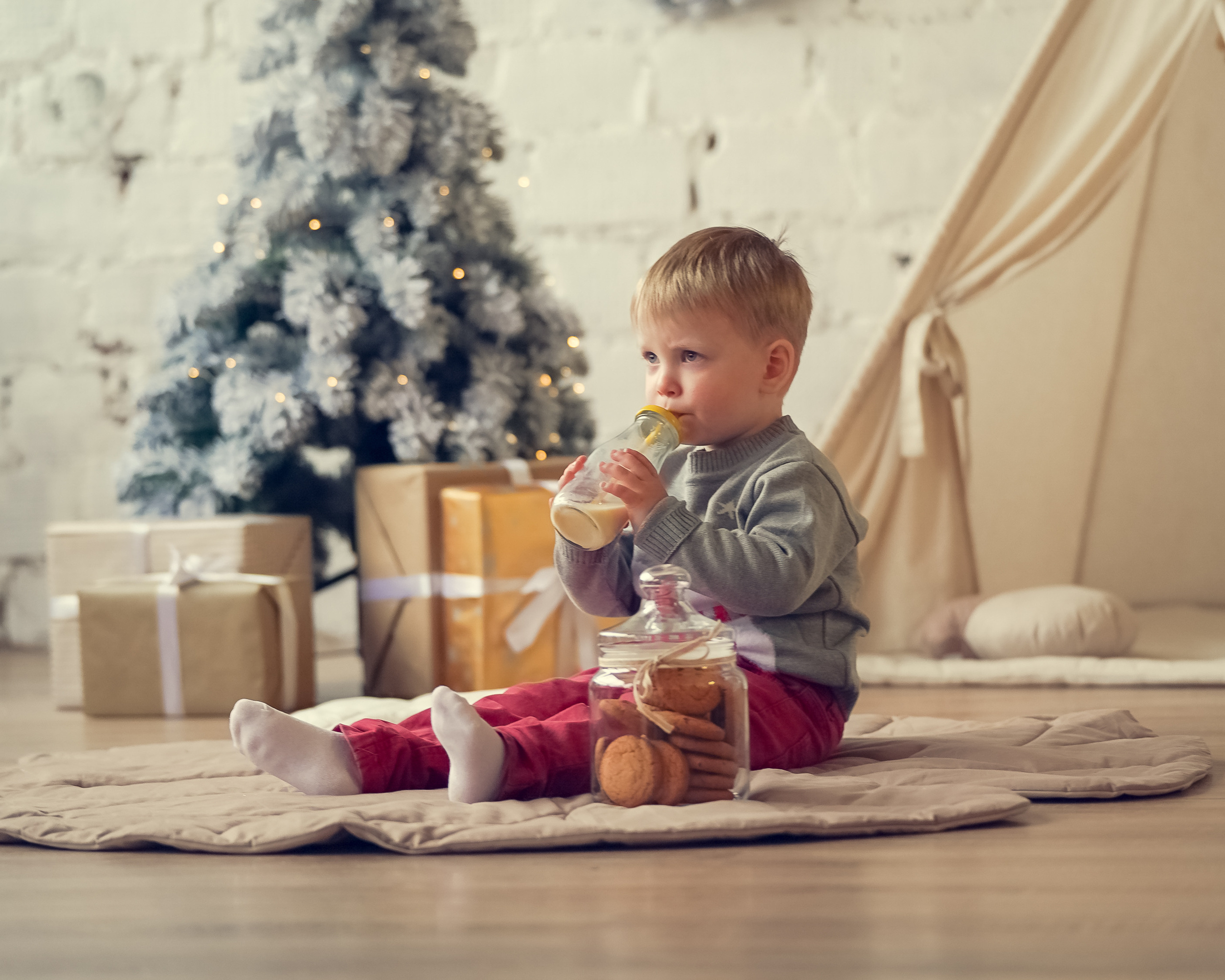Новогоднее настроение. Семейный фотограф в Москве и Московской области Элла Слюсарь
