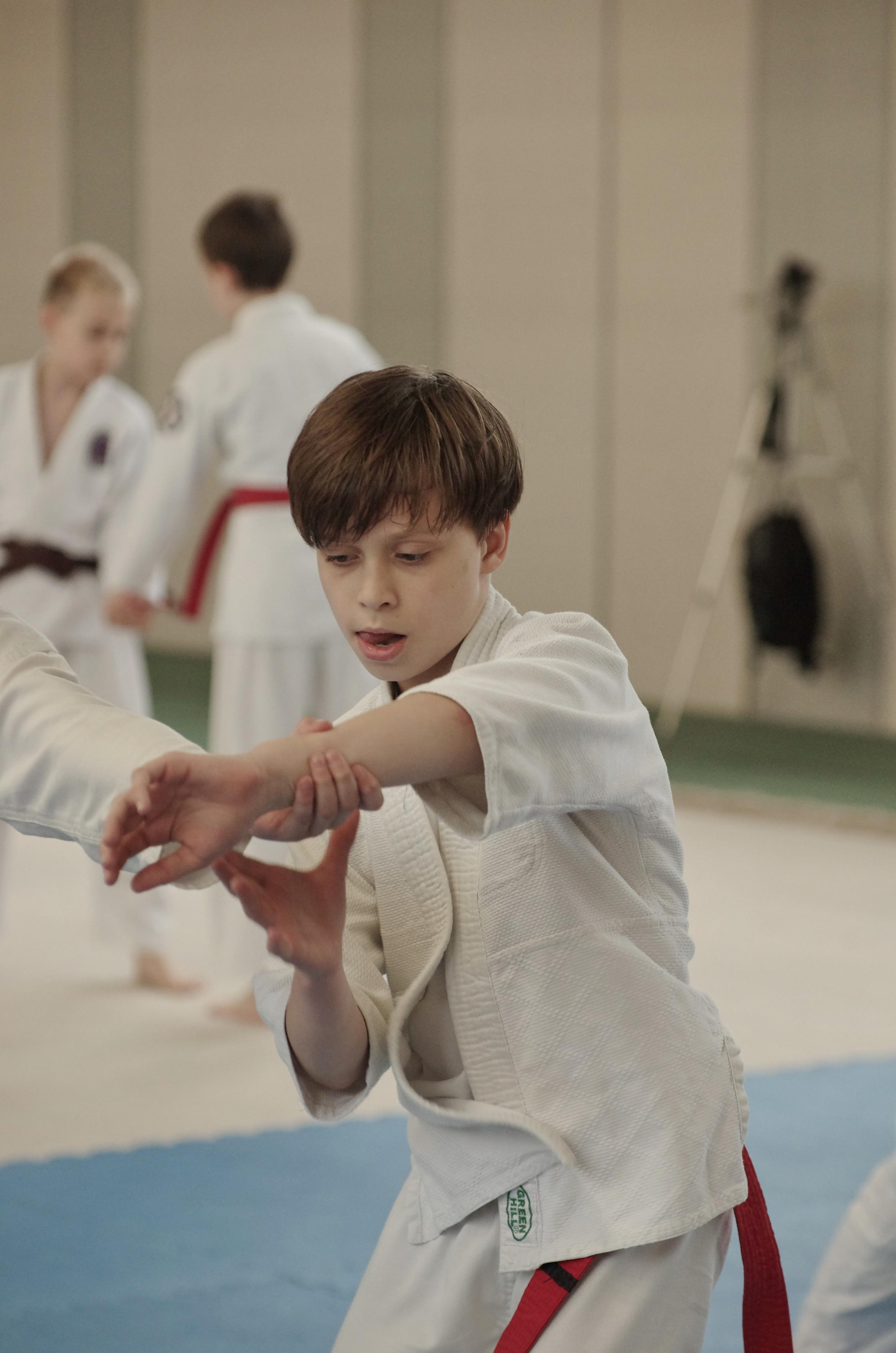 Аттестация айкидо. Семейный фотограф в Москве и Московской области Элла Слюсарь