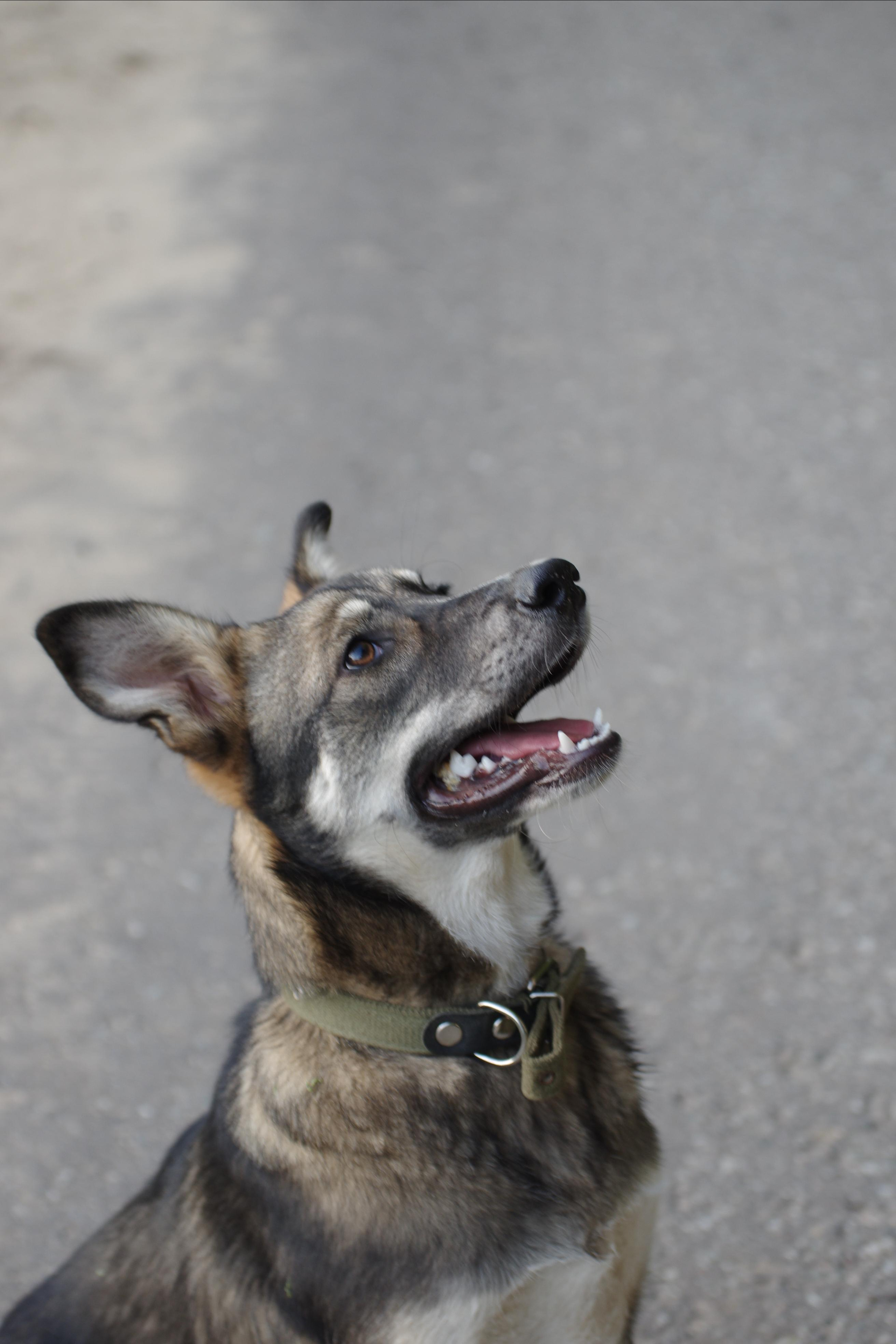 Им нужен дом. Семейный фотограф в Москве и Московской области Элла Слюсарь
