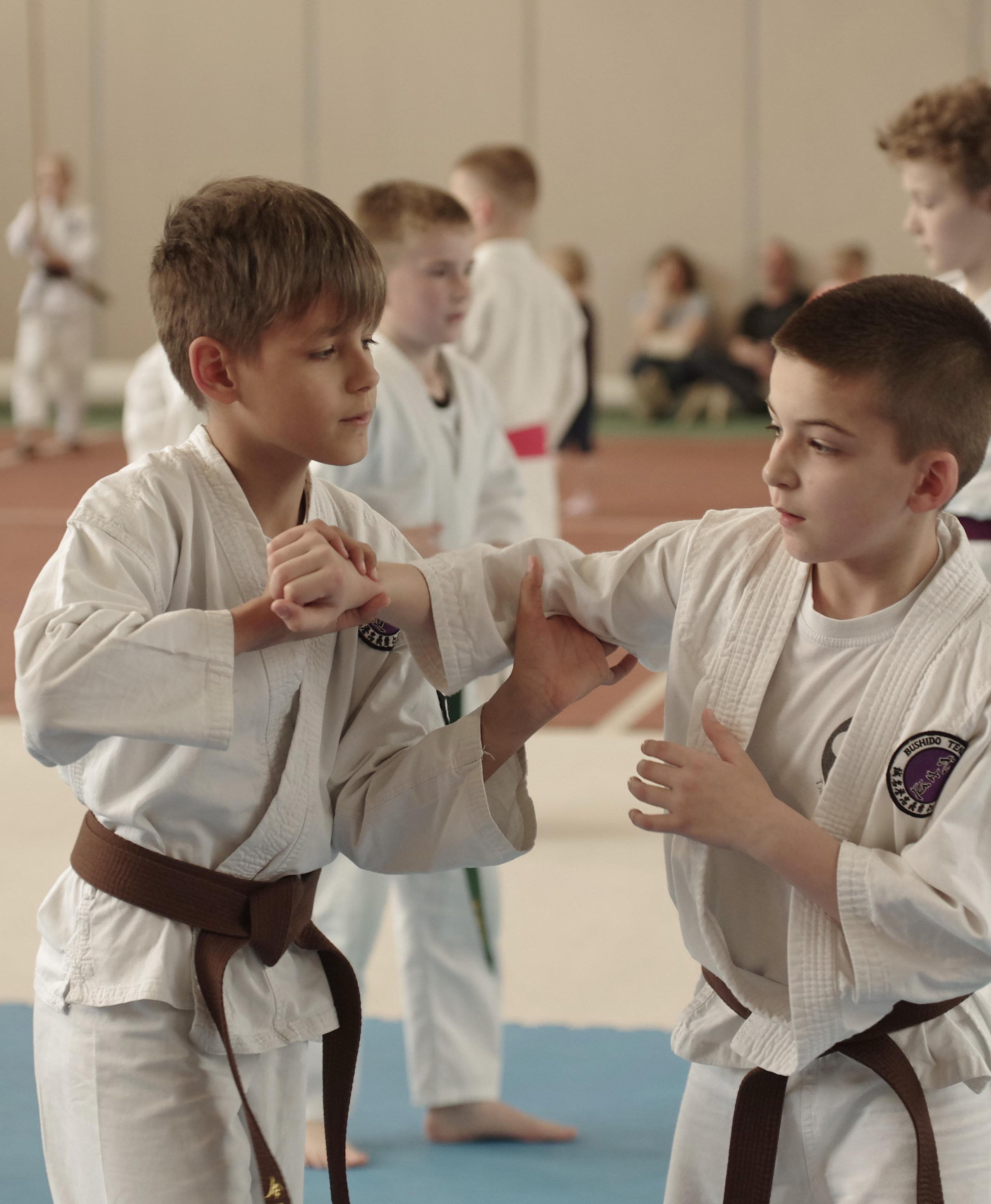 Аттестация айкидо. Семейный фотограф в Москве и Московской области Элла Слюсарь