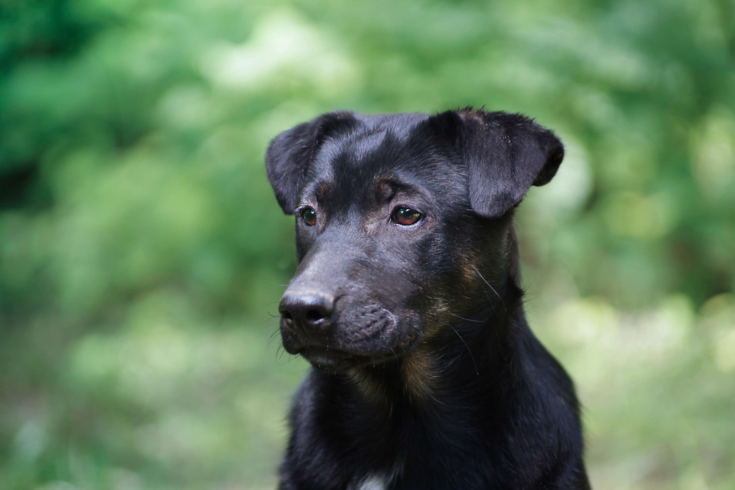Им нужен дом. Семейный фотограф в Москве и Московской области Элла Слюсарь