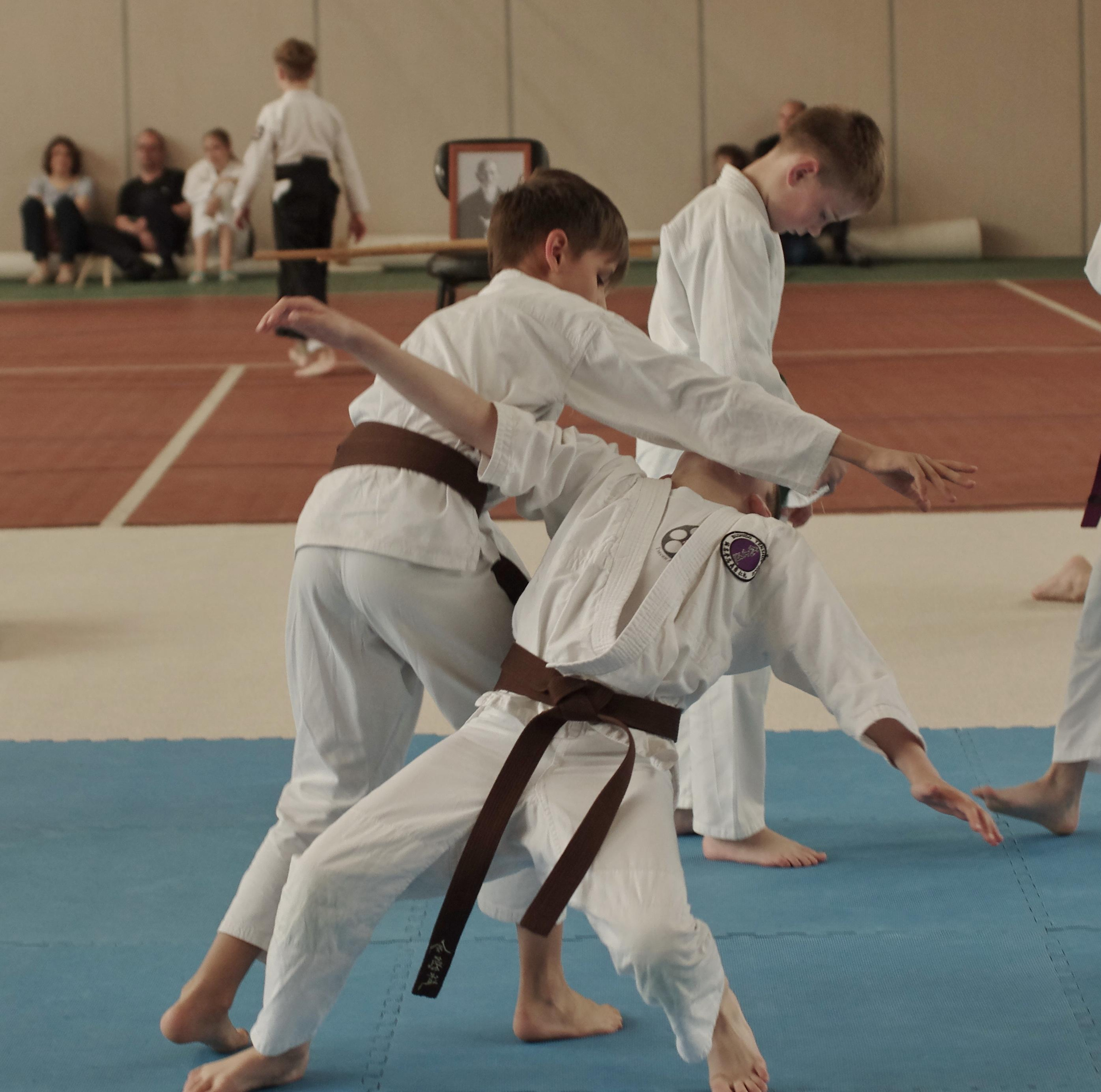 Аттестация айкидо. Семейный фотограф в Москве и Московской области Элла Слюсарь