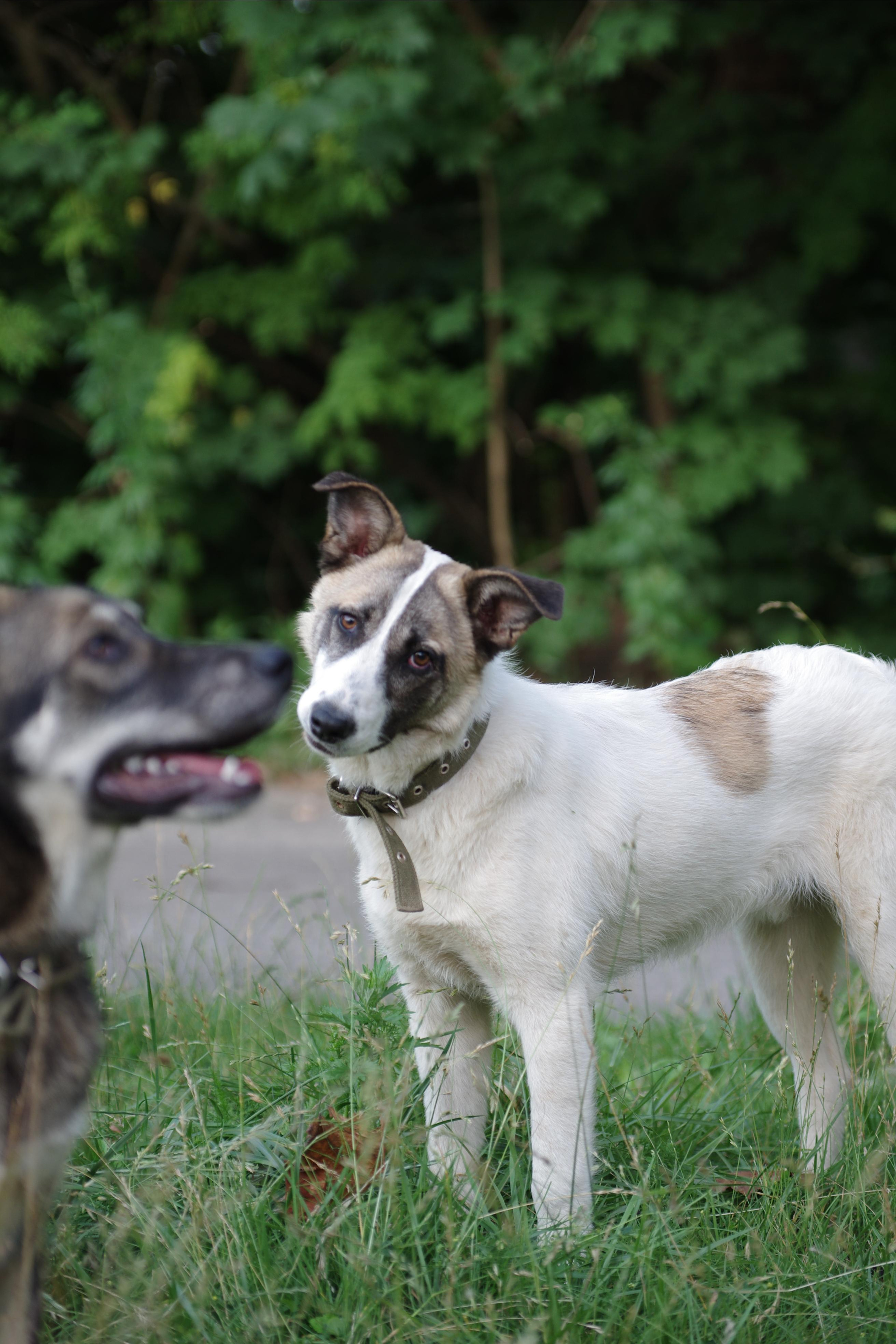 Им нужен дом. Семейный фотограф в Москве и Московской области Элла Слюсарь