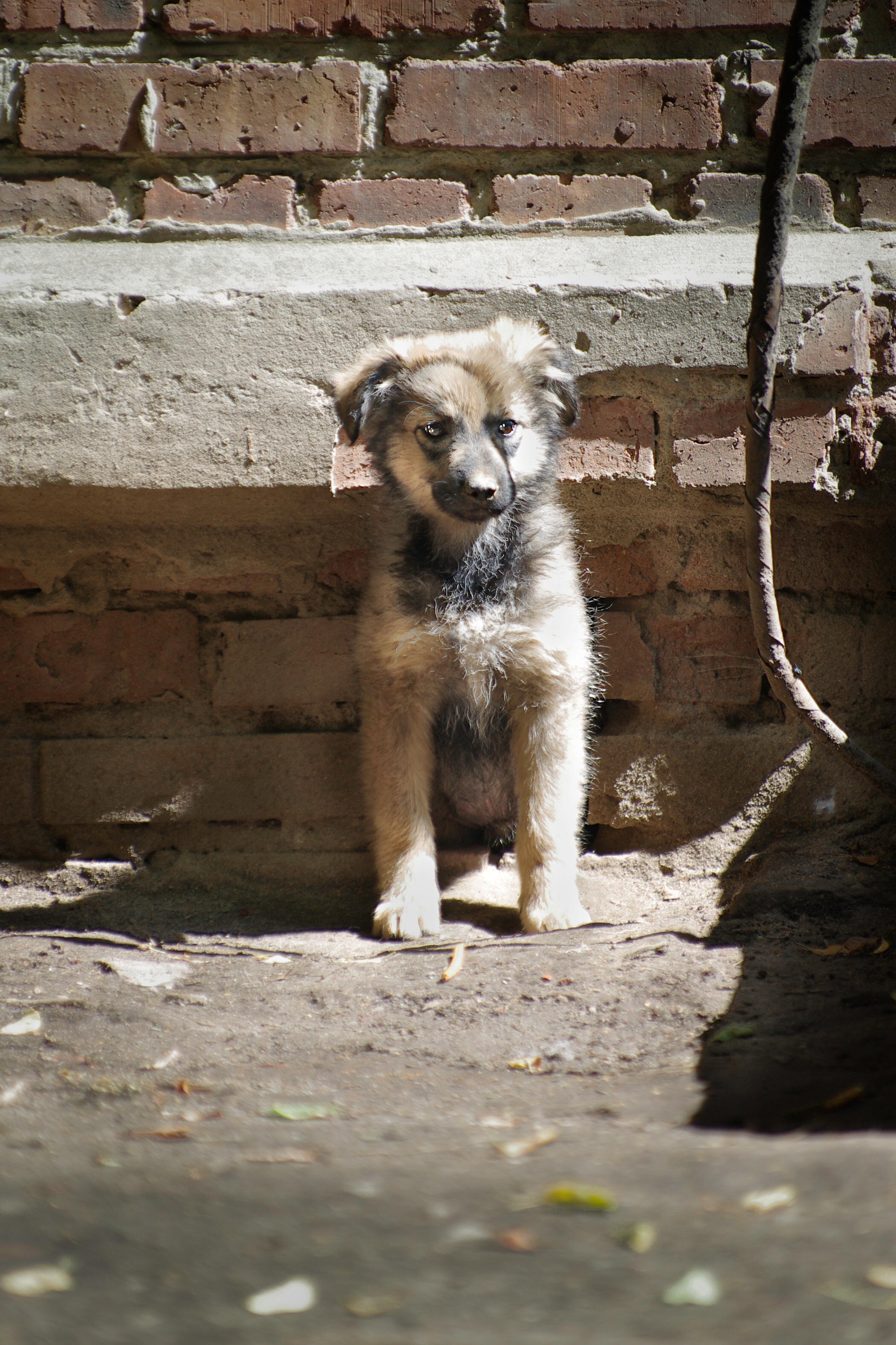 Им нужен дом. Семейный фотограф в Москве и Московской области Элла Слюсарь
