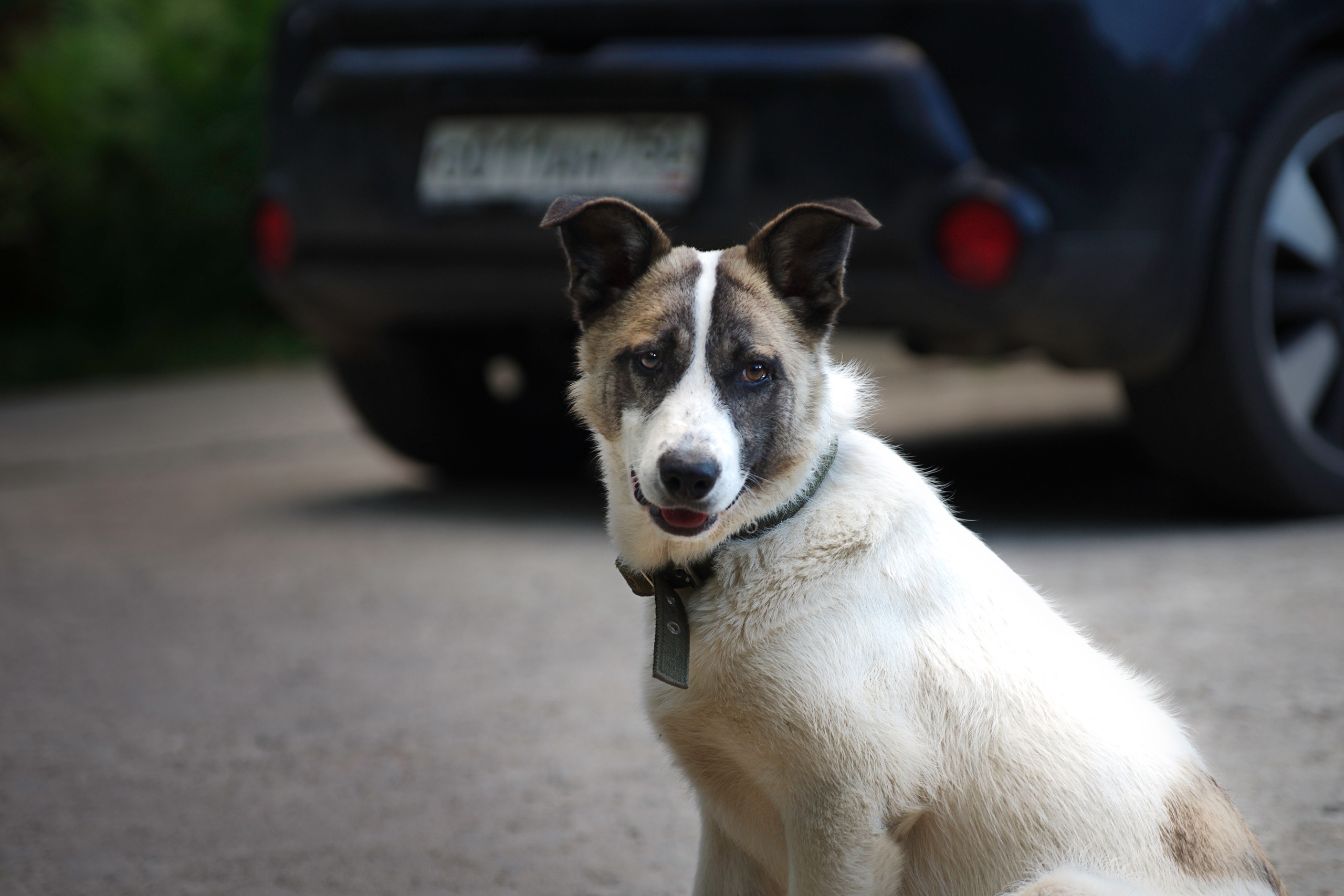 Им нужен дом. Семейный фотограф в Москве и Московской области Элла Слюсарь