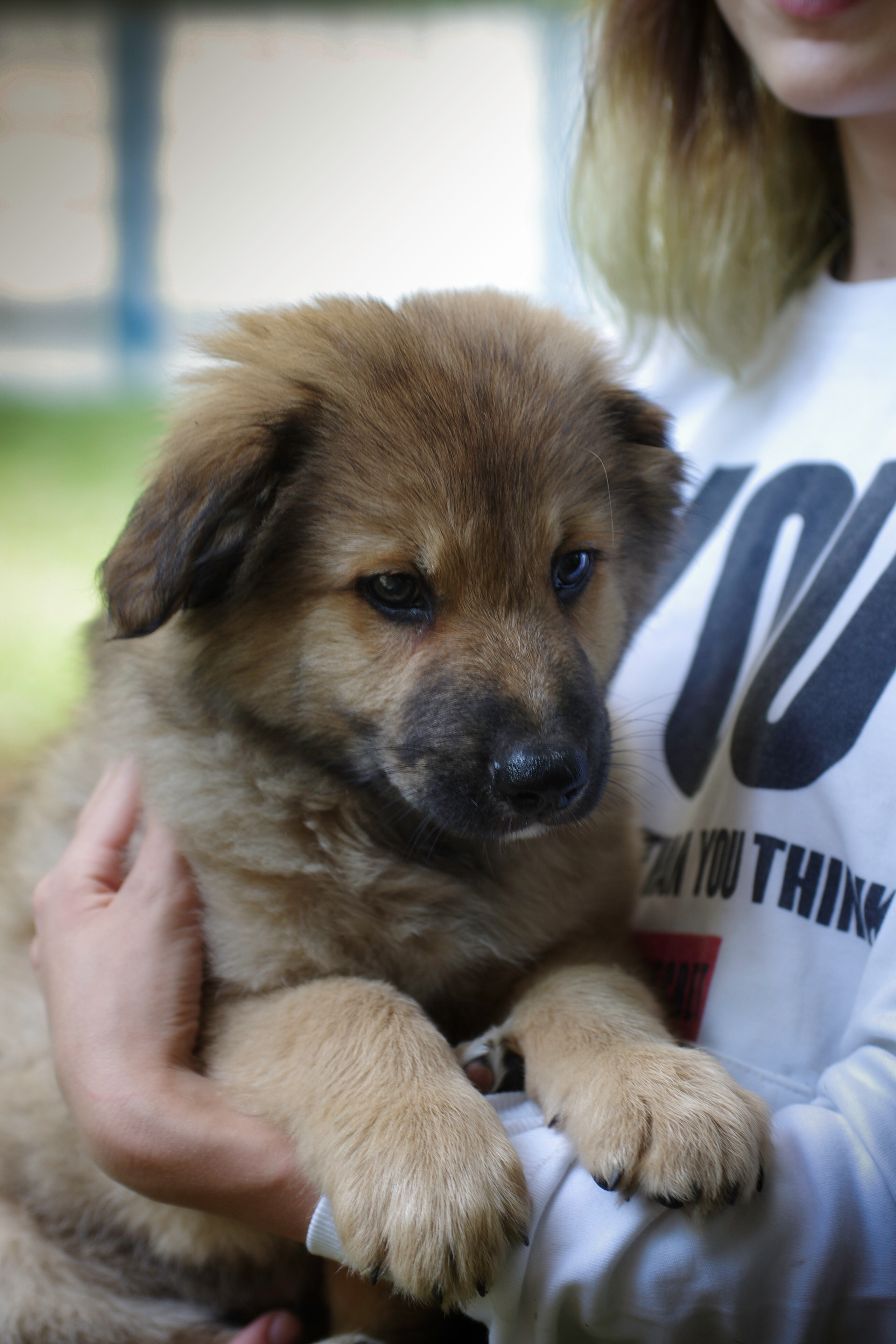 Им нужен дом. Семейный фотограф в Москве и Московской области Элла Слюсарь
