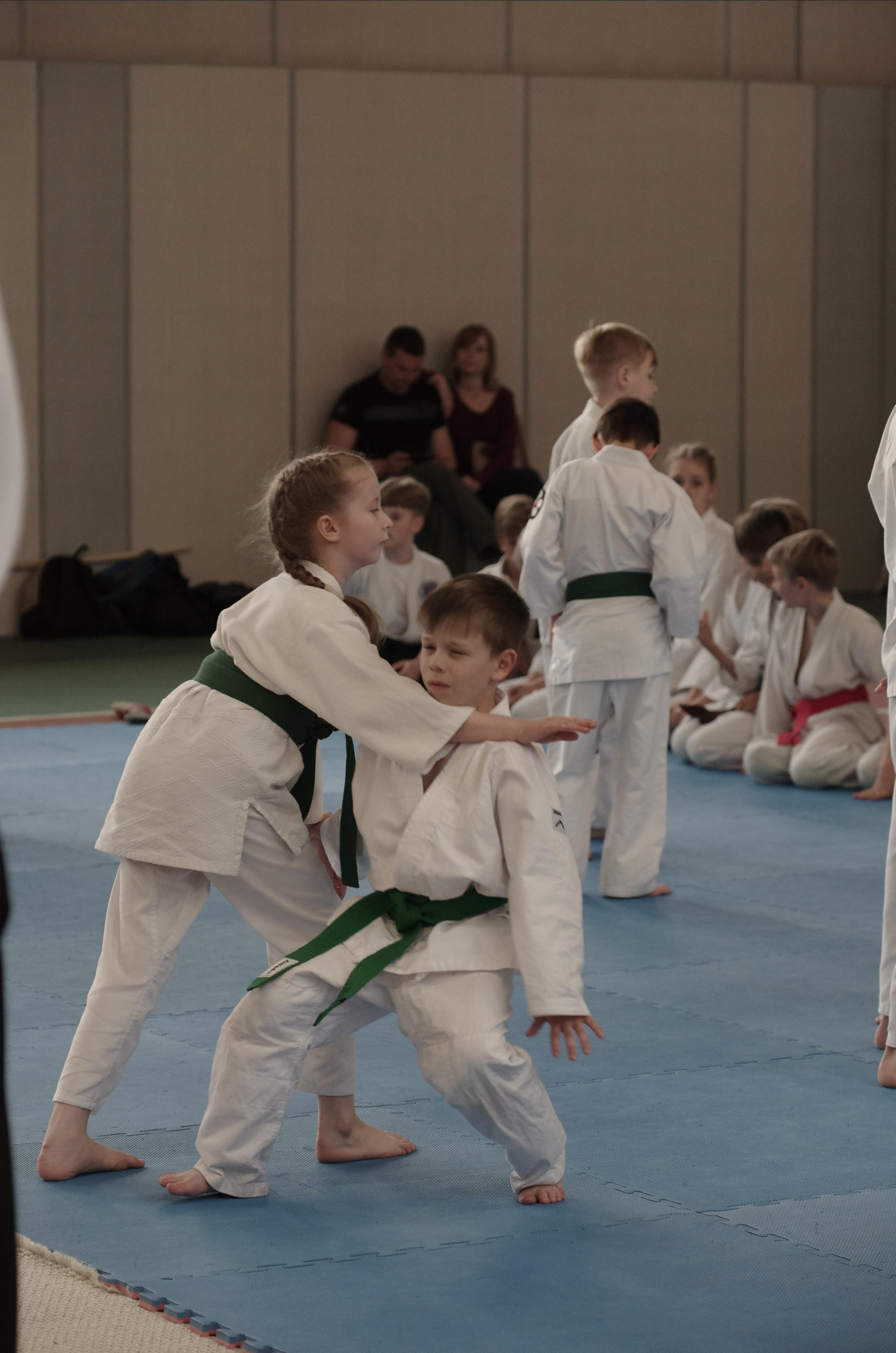 Аттестация айкидо. Семейный фотограф в Москве и Московской области Элла Слюсарь