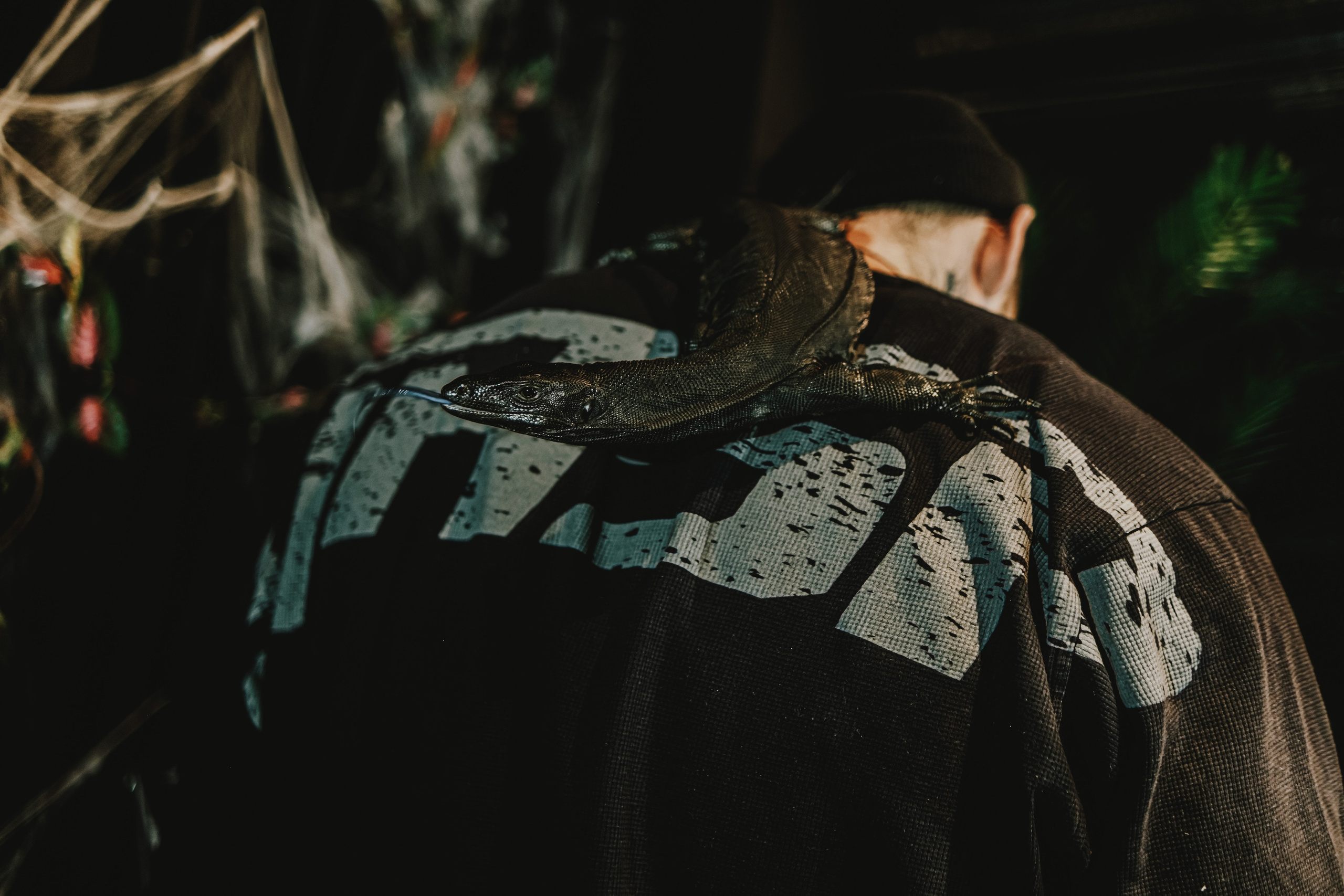 Дом Драконов. Nattie.ph