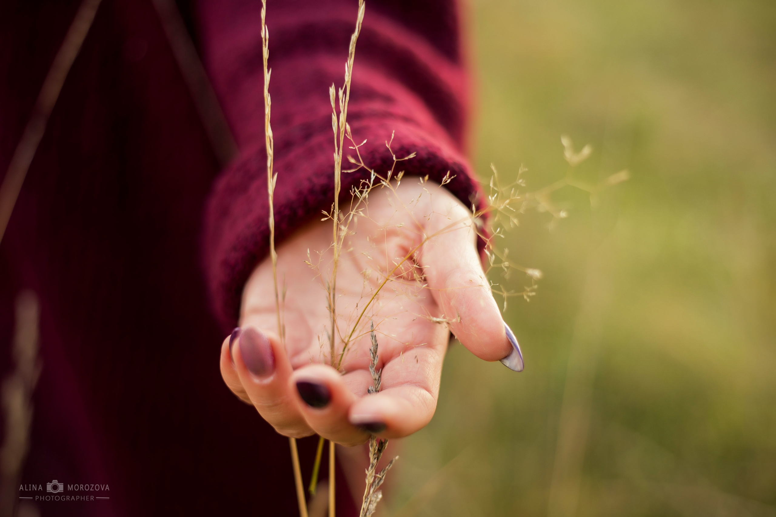 ТВОРЧЕСКИЕ ФОТОСЕССИИ. Творческая студия АЛНИфото