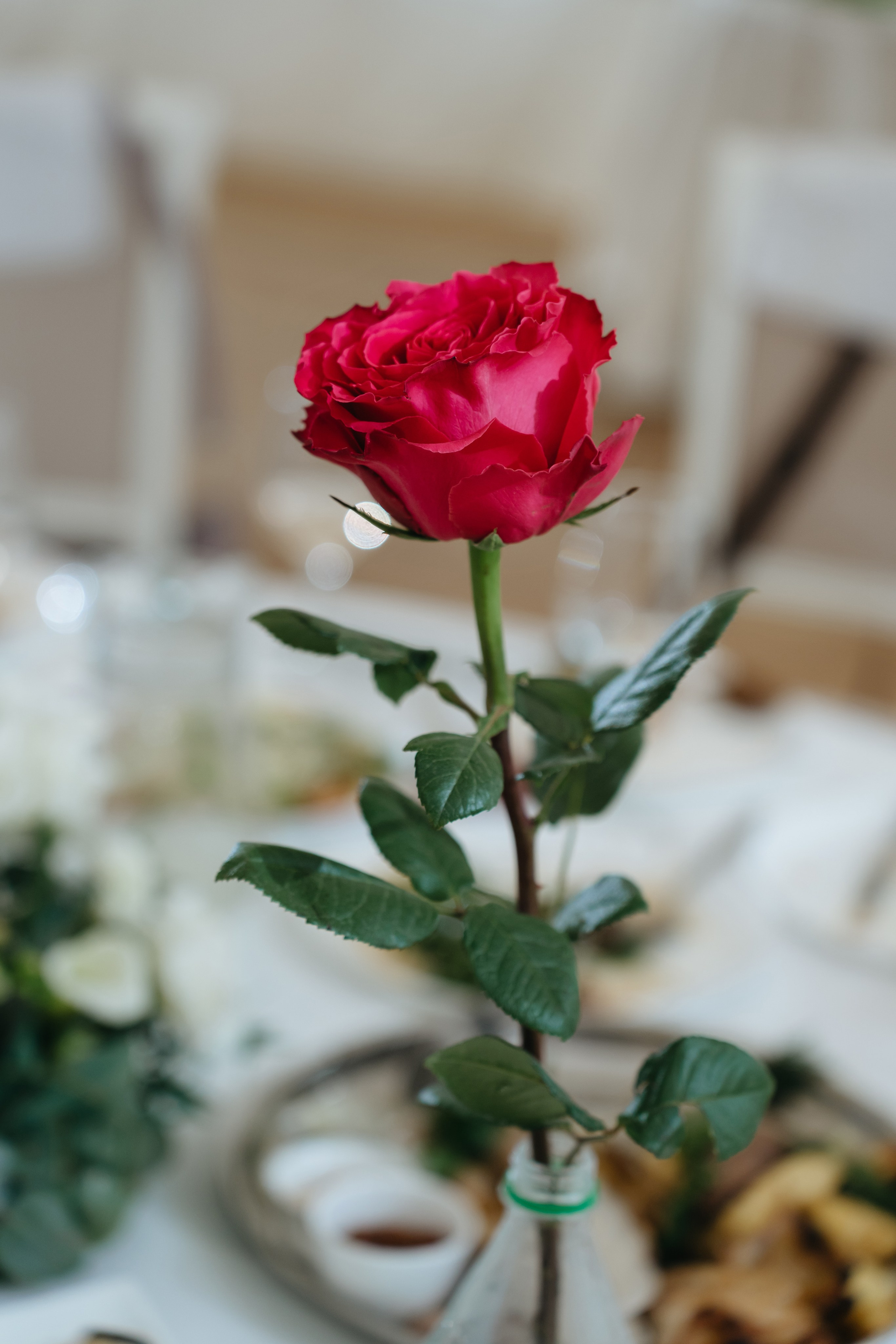 Никита и Маша. Свадебный фотограф Красноярск Вязьминова Мария