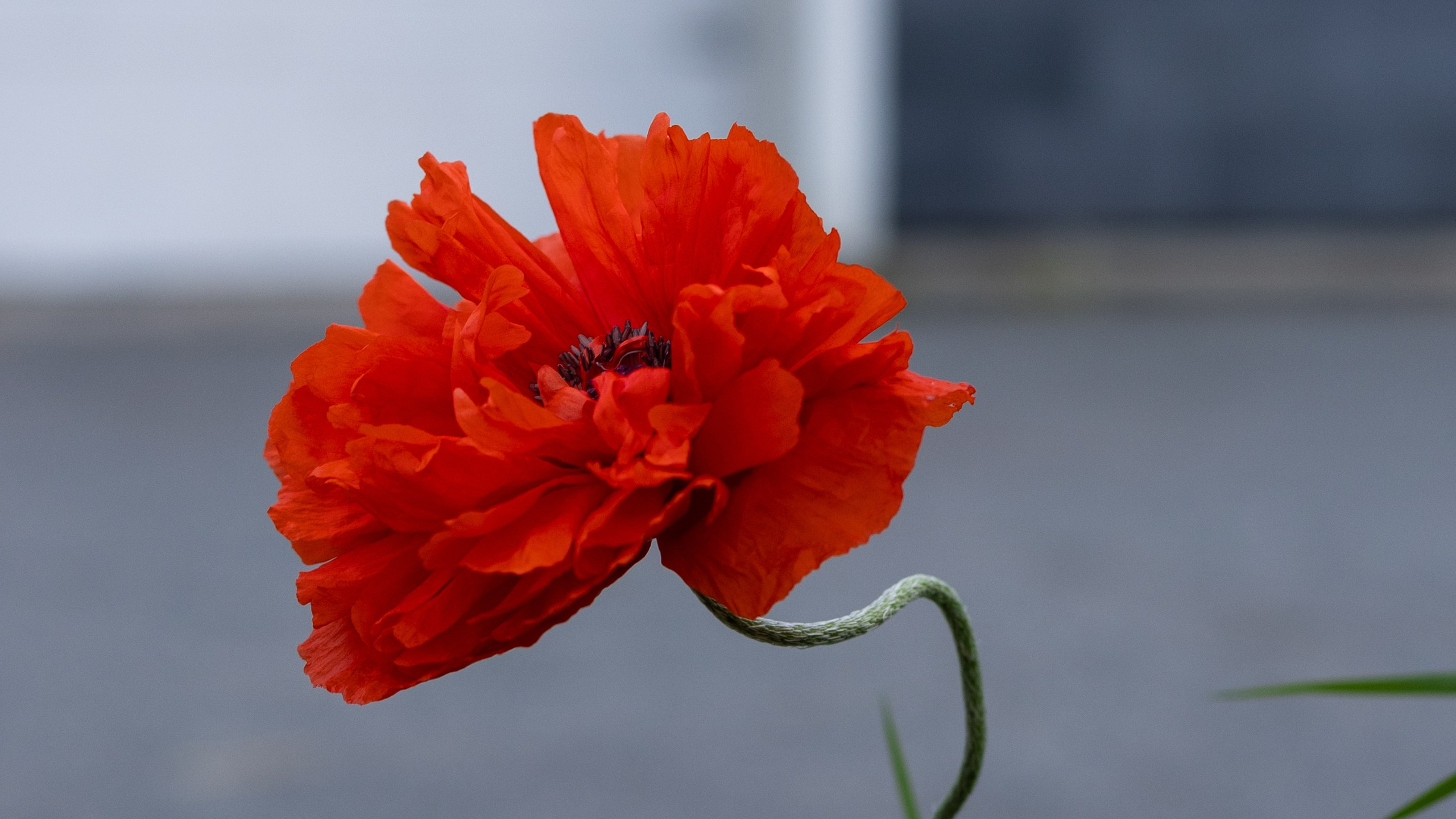 Репортажный и портретный фотограф в Владивостоке