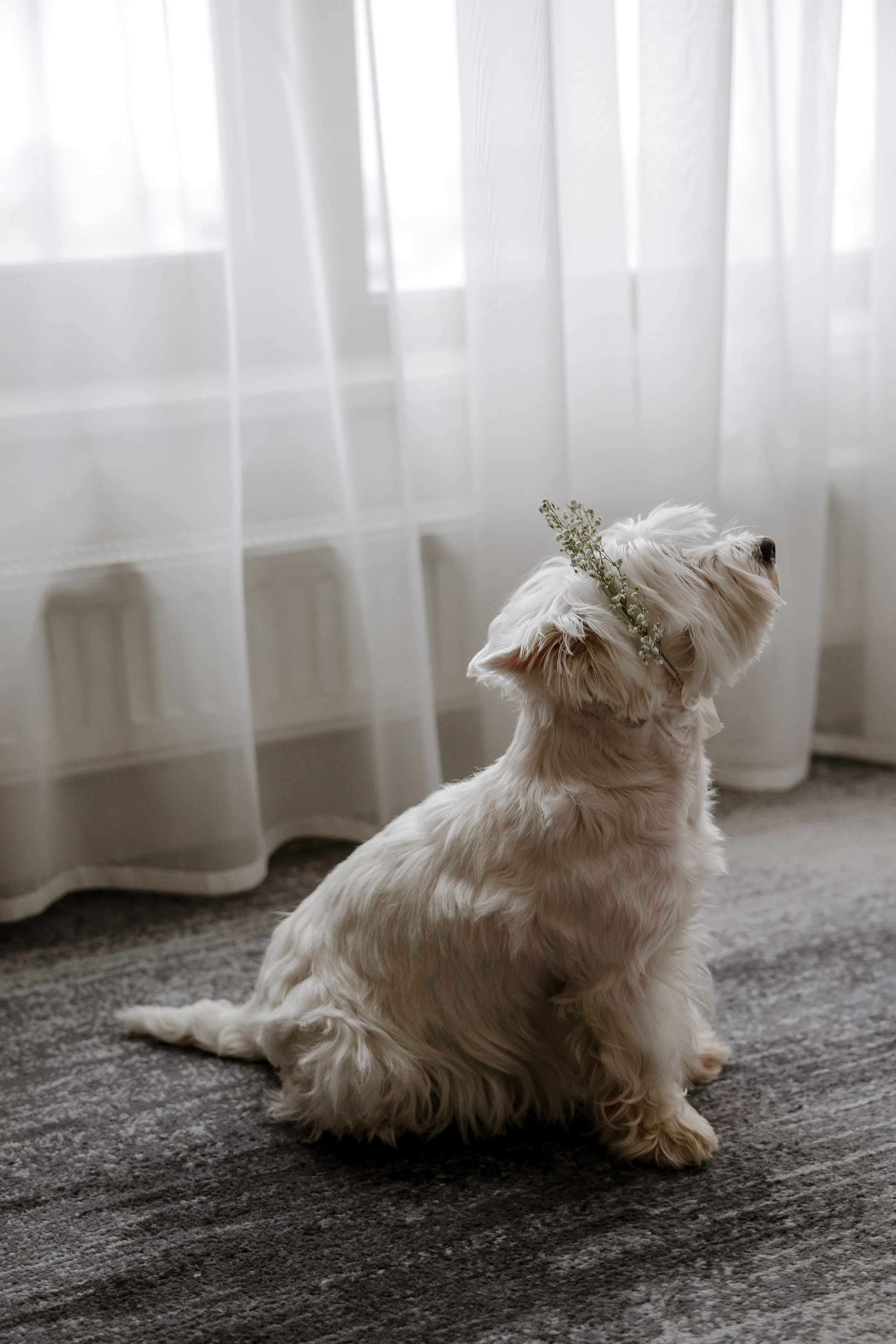 P&F. Свадебный и семейный фотограф в Самаре и Тольятти | Елена Топанцева