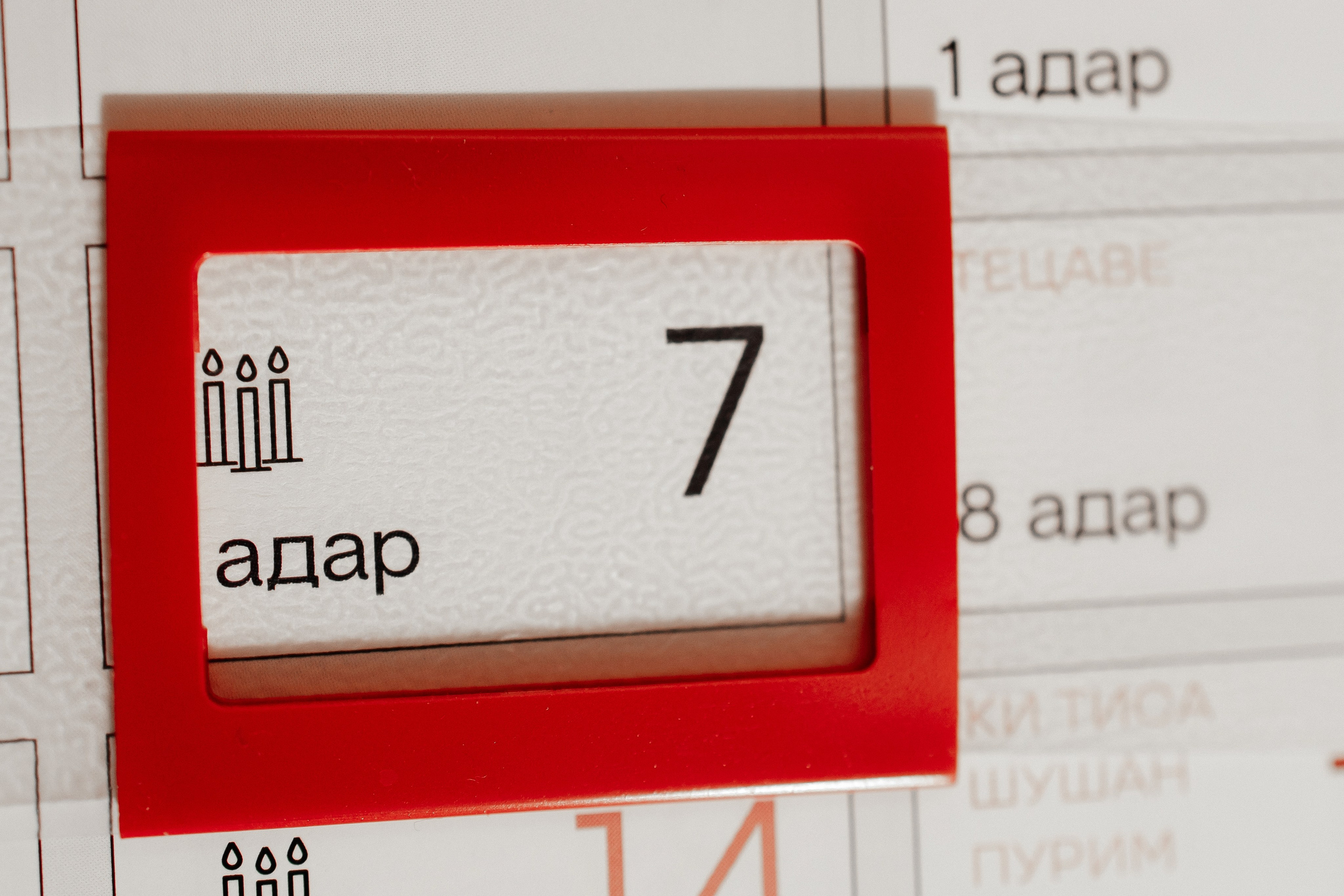 Шаббатон. Фотограф в Санкт-Петербурге Виктория Безверхая