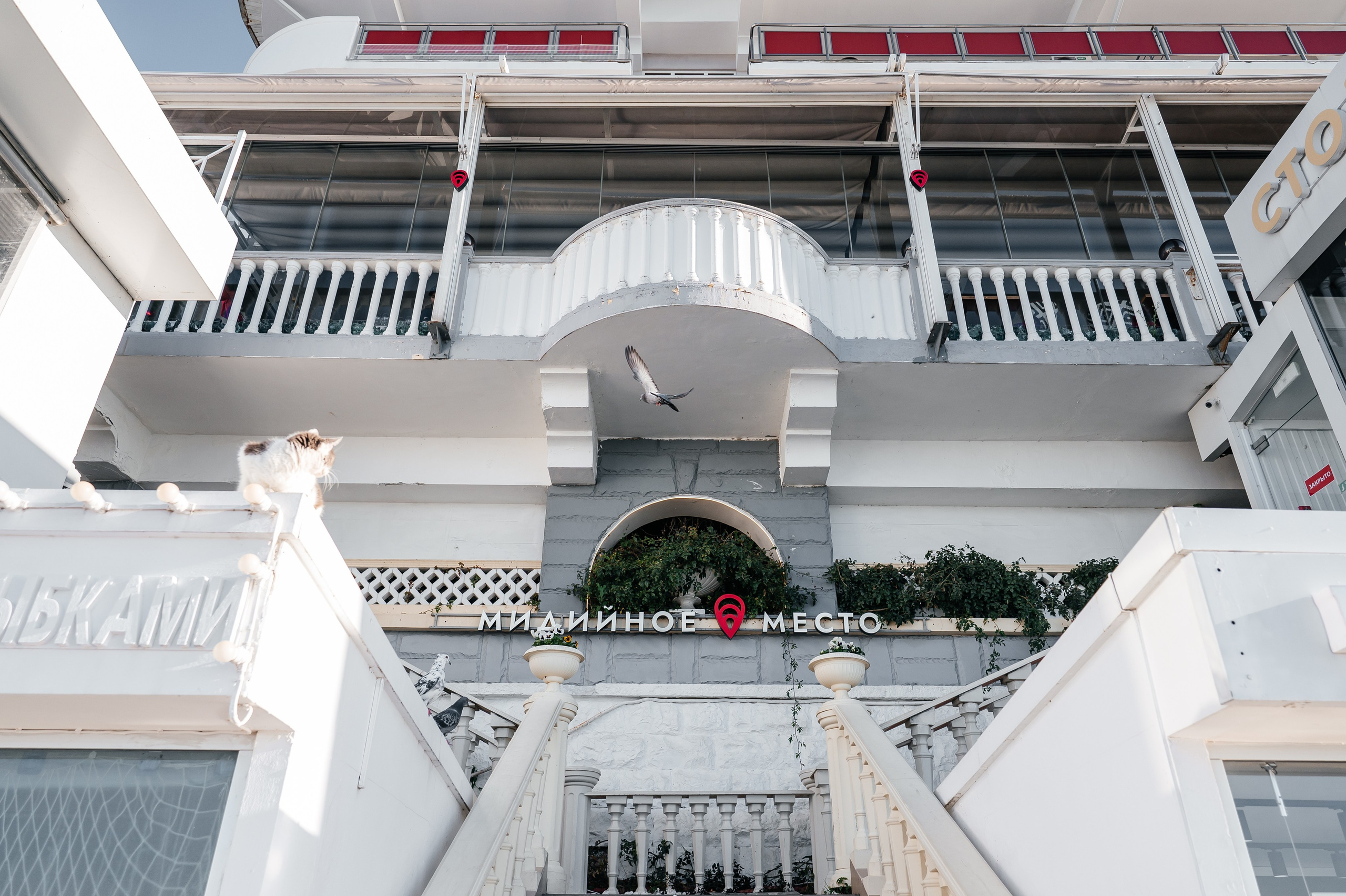 Мидийное место «Ежегодный Чемпионат на кубок Мидийного места». Фотограф Илья Бызов, Свадебный и репортажный фотограф Сочи