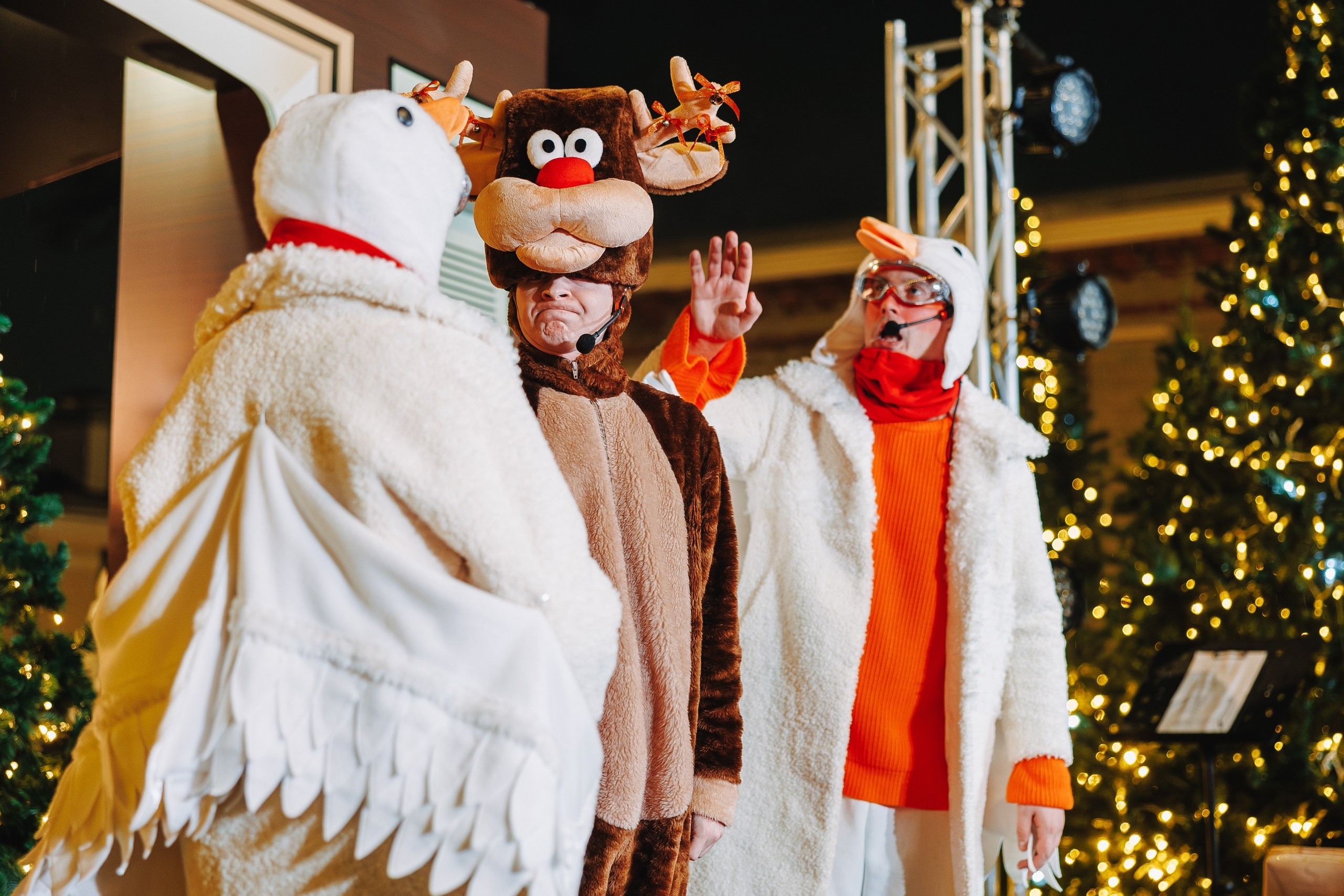 Заказать сказку на новый год, режиссура театрализованного представления, спектакль для детей на новый год. Режиссер в Рязани Ольга Синичкина