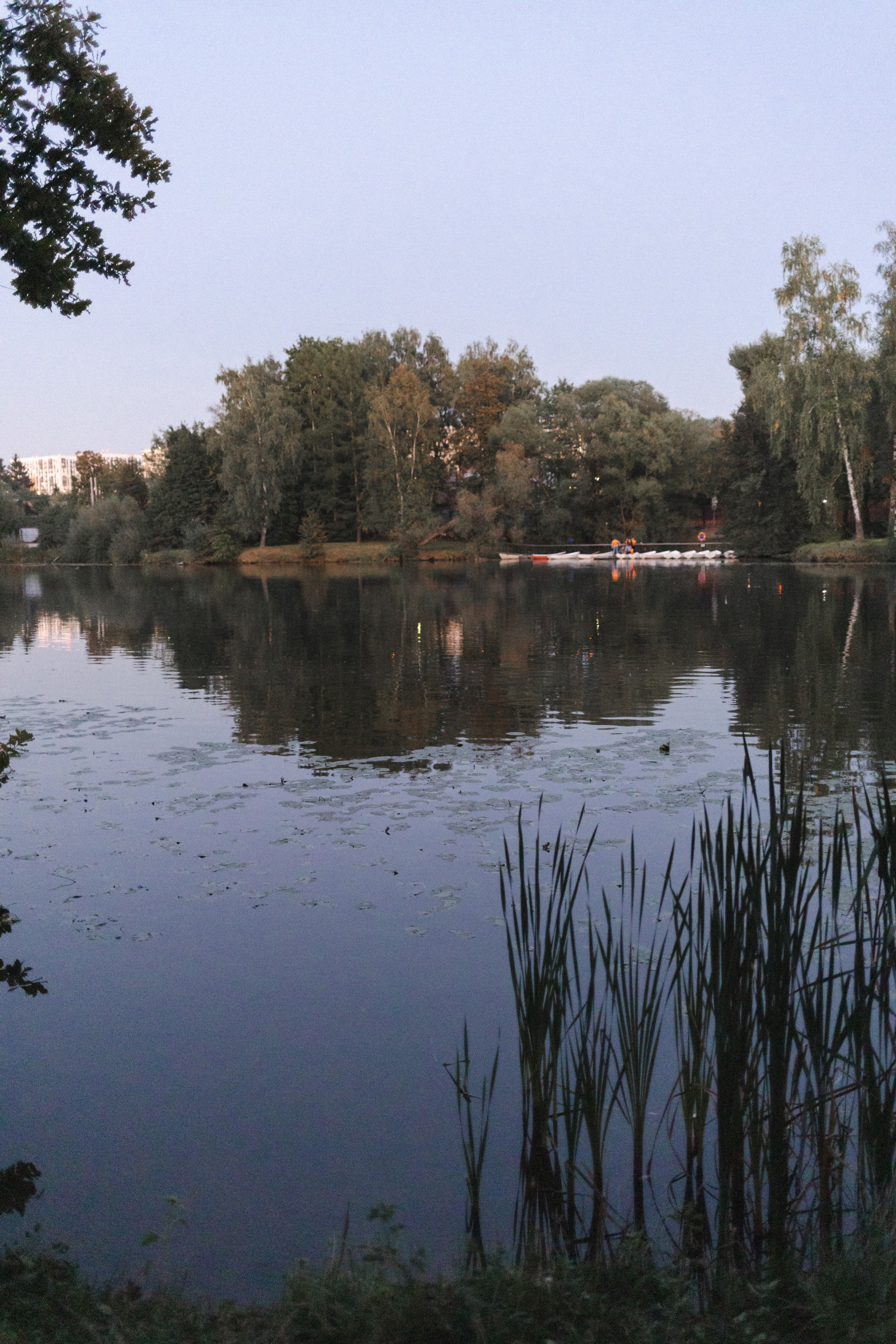 Евгений и Мария. Семейный фотограф в Москве
