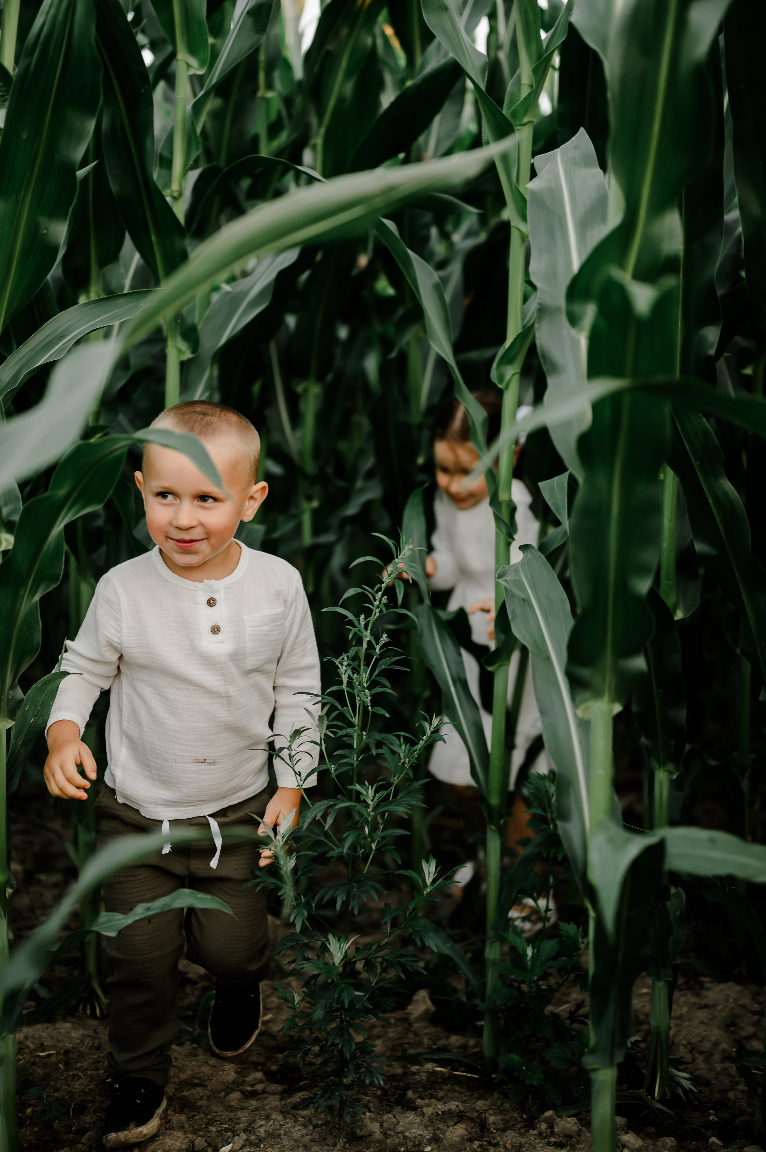 Кукуруза+сено, семейная фотосессия. Свадебный и семейный фотограф Евгения Кононова