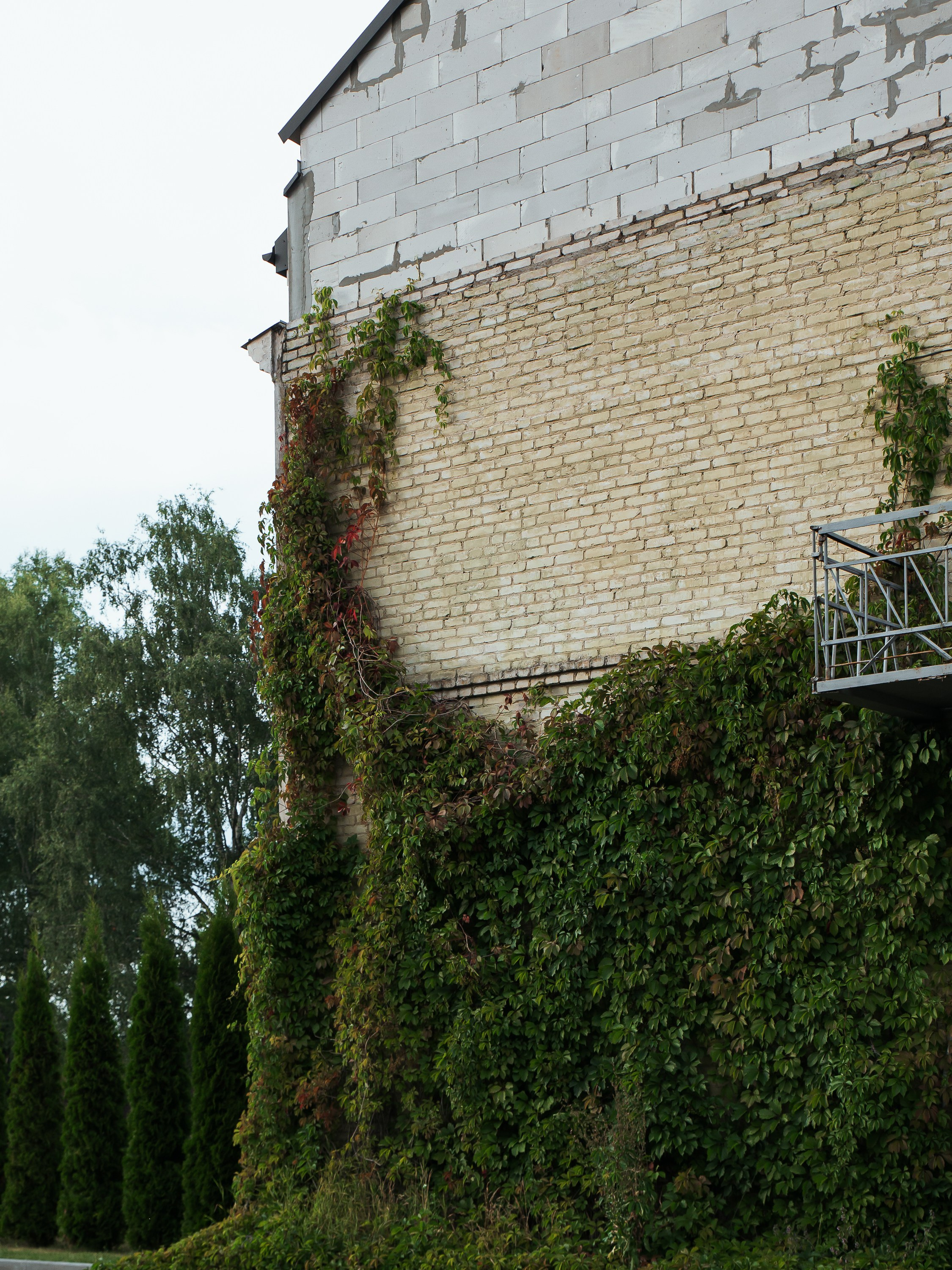 Усадьба «Радзивилки» в Гродно